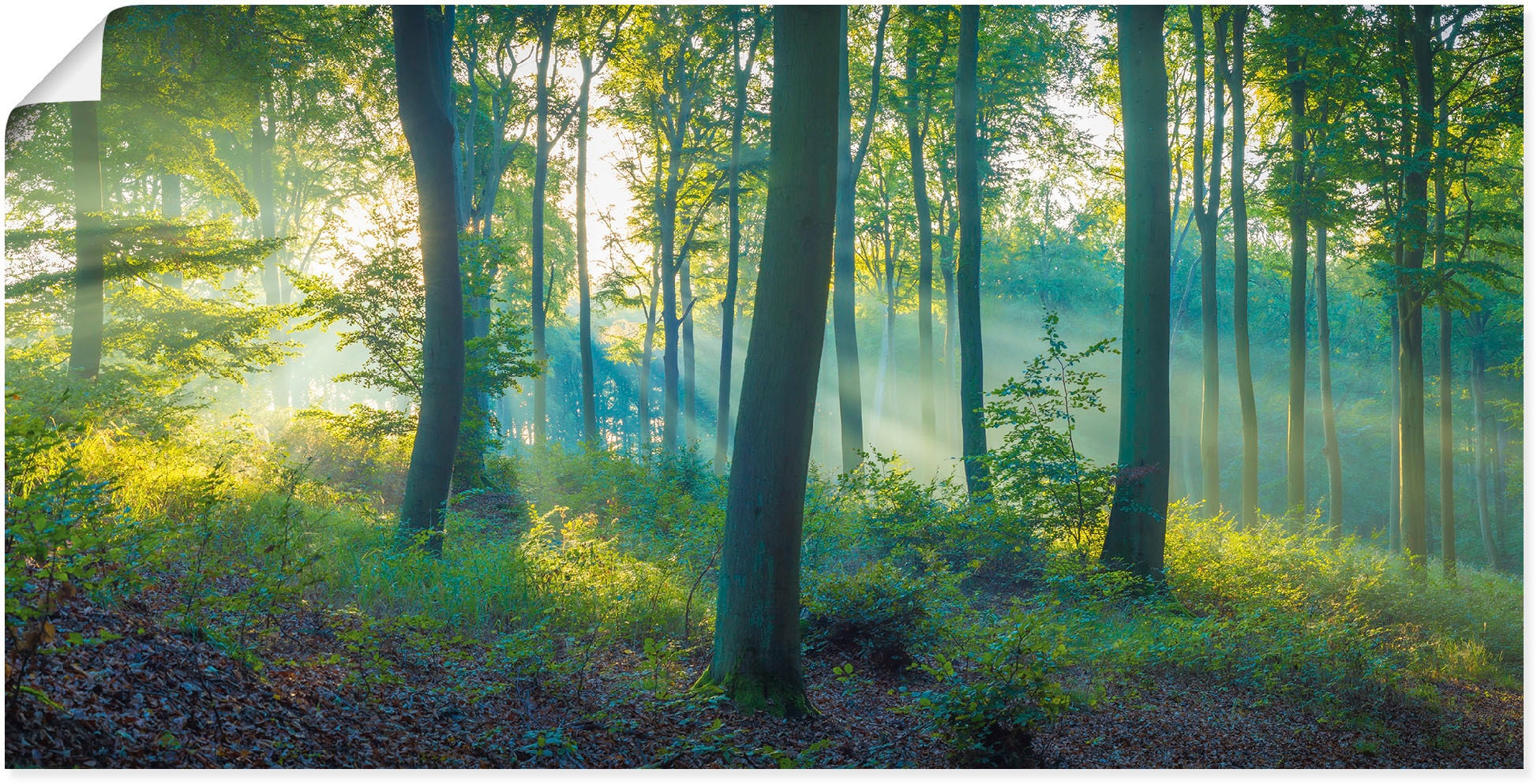 Artland Wandbild »Wald Panorama«, Waldbilder, (1 St.), als Alubild,  Leinwandbild, Wandaufkleber oder Poster in versch. Größen bei OTTO