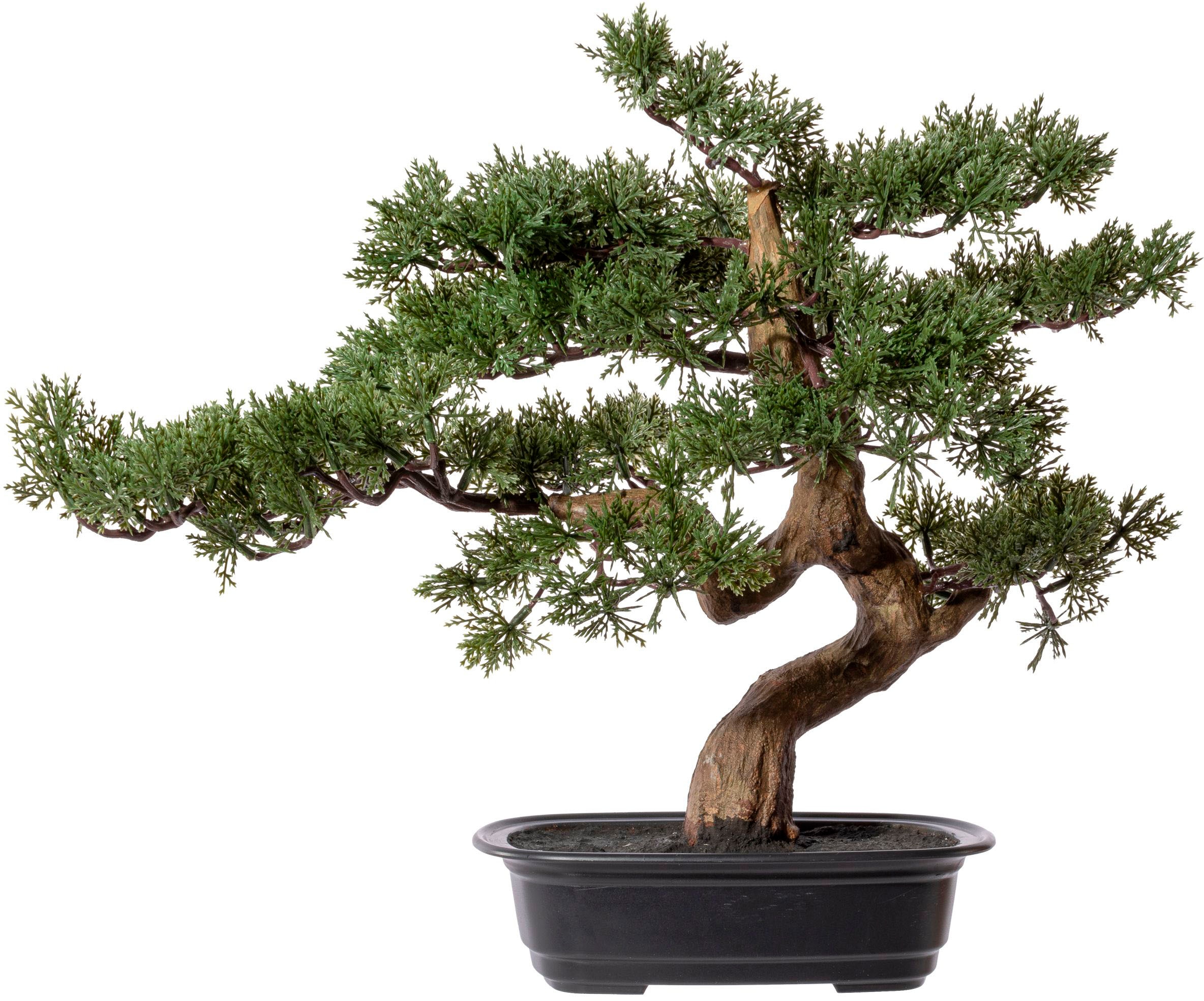 Kunstbonsai »Bonsai Zeder«