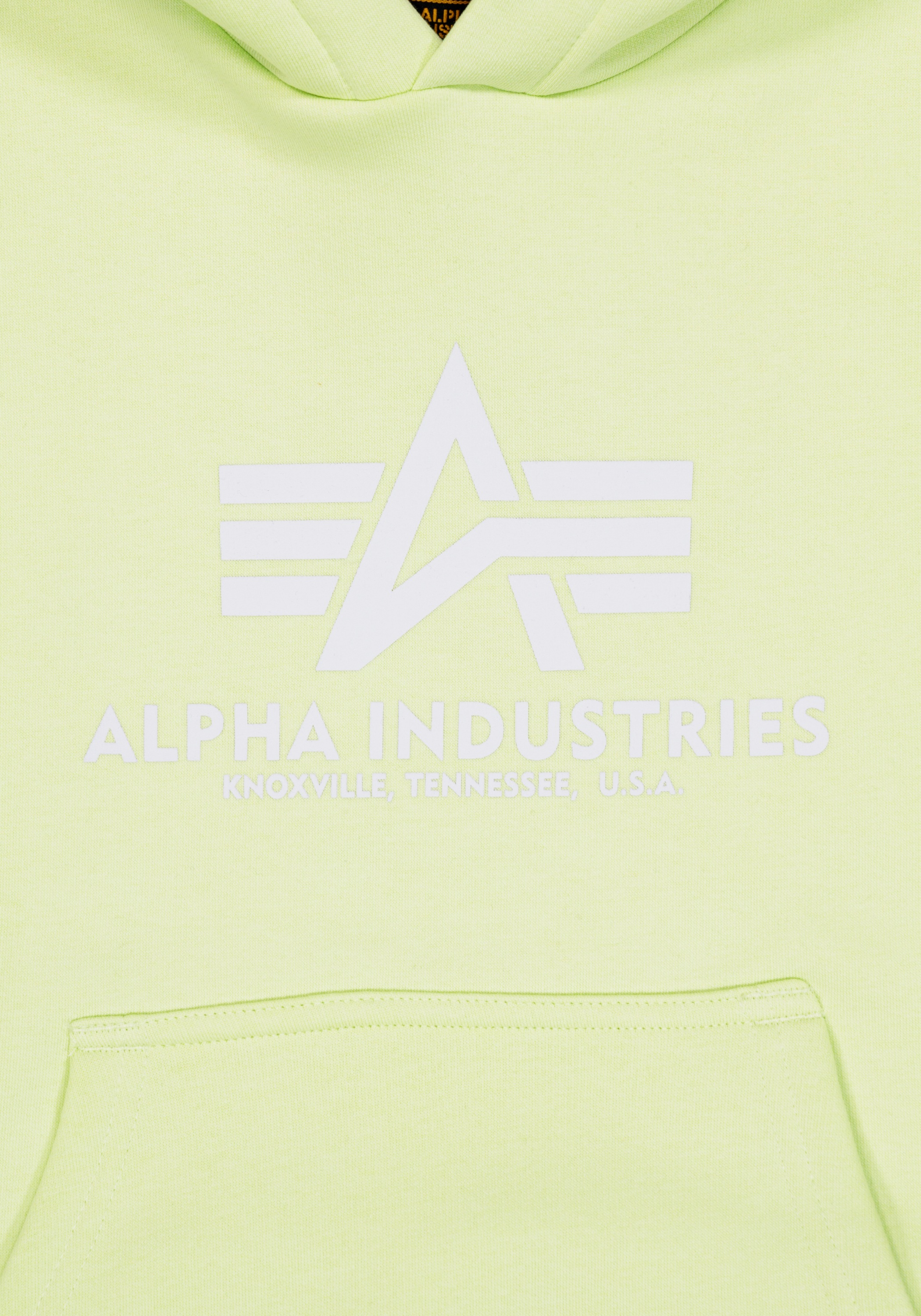 Alpha Industries Hoodie »Alpha Industries Kids - Hoodies Basic Hoodie Kids/Teens«