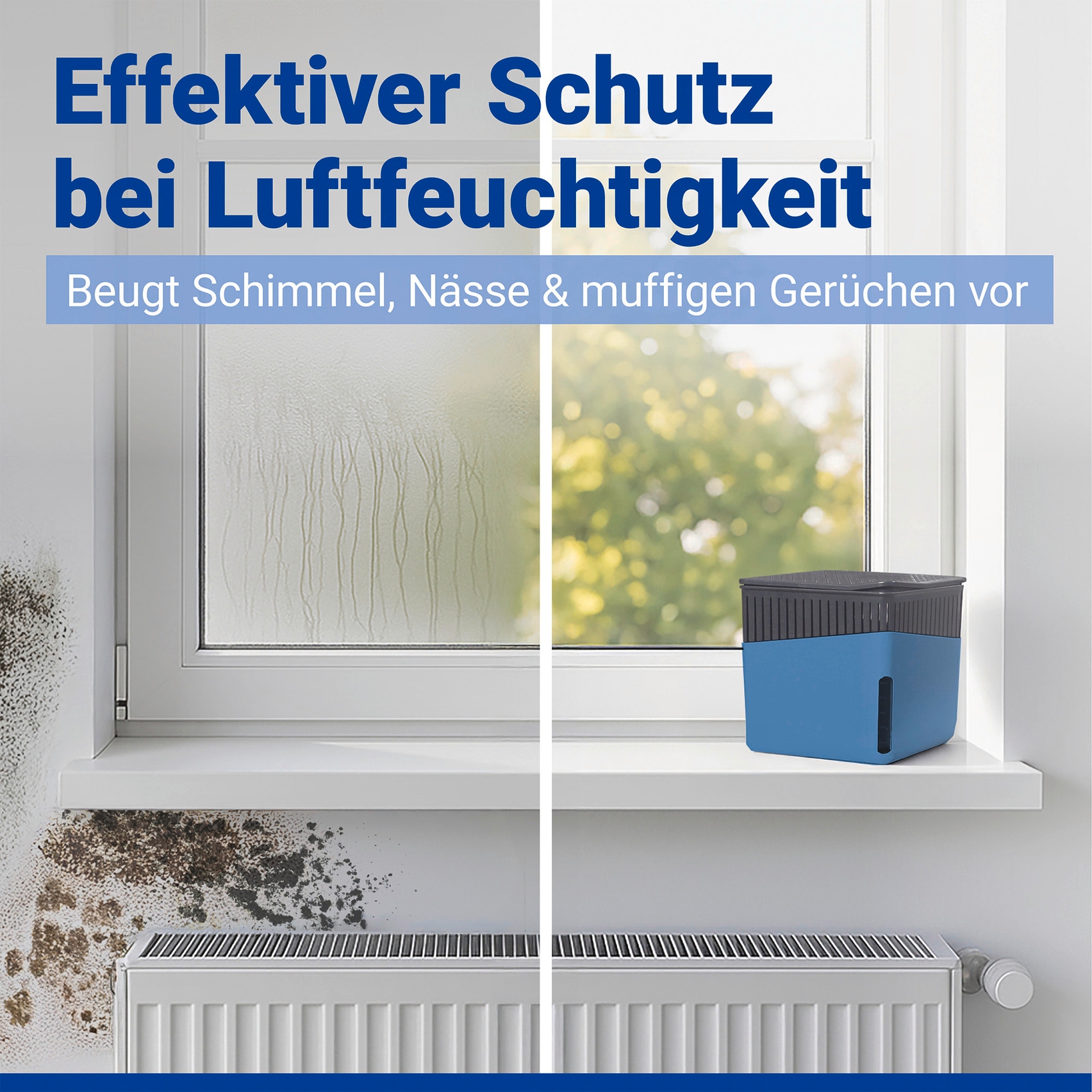 WENKO Luftentfeuchter »Cube« für 80 m³ Räume 1000 g
