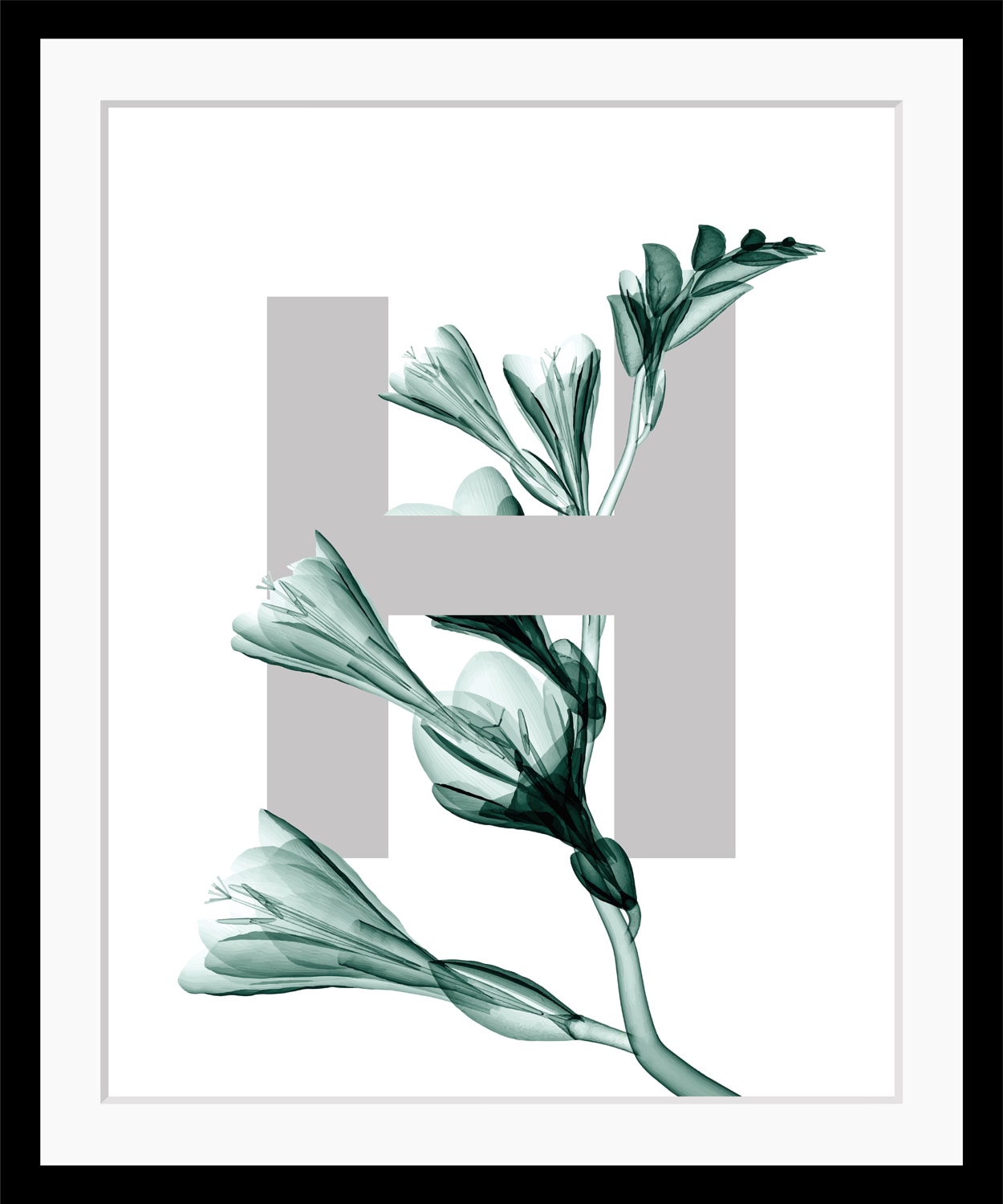 queence Bild »H-Flower« Buchstaben | Pflanzen | Pflanzenbilder