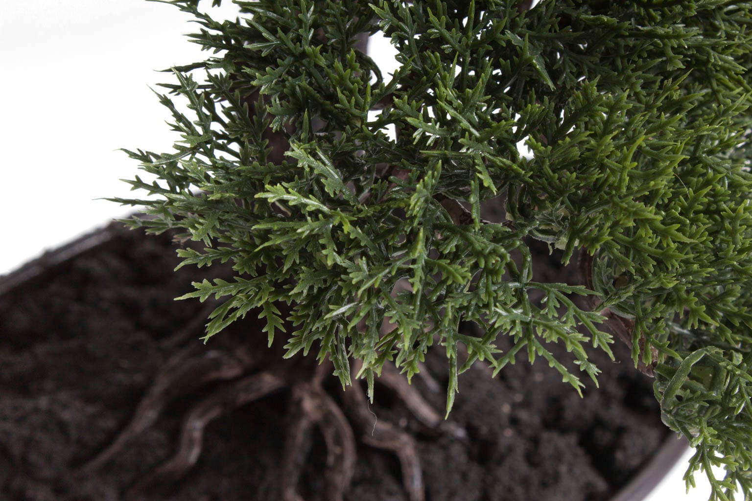 Botanic-Haus Kunstbonsai »Cedern Bonsai«