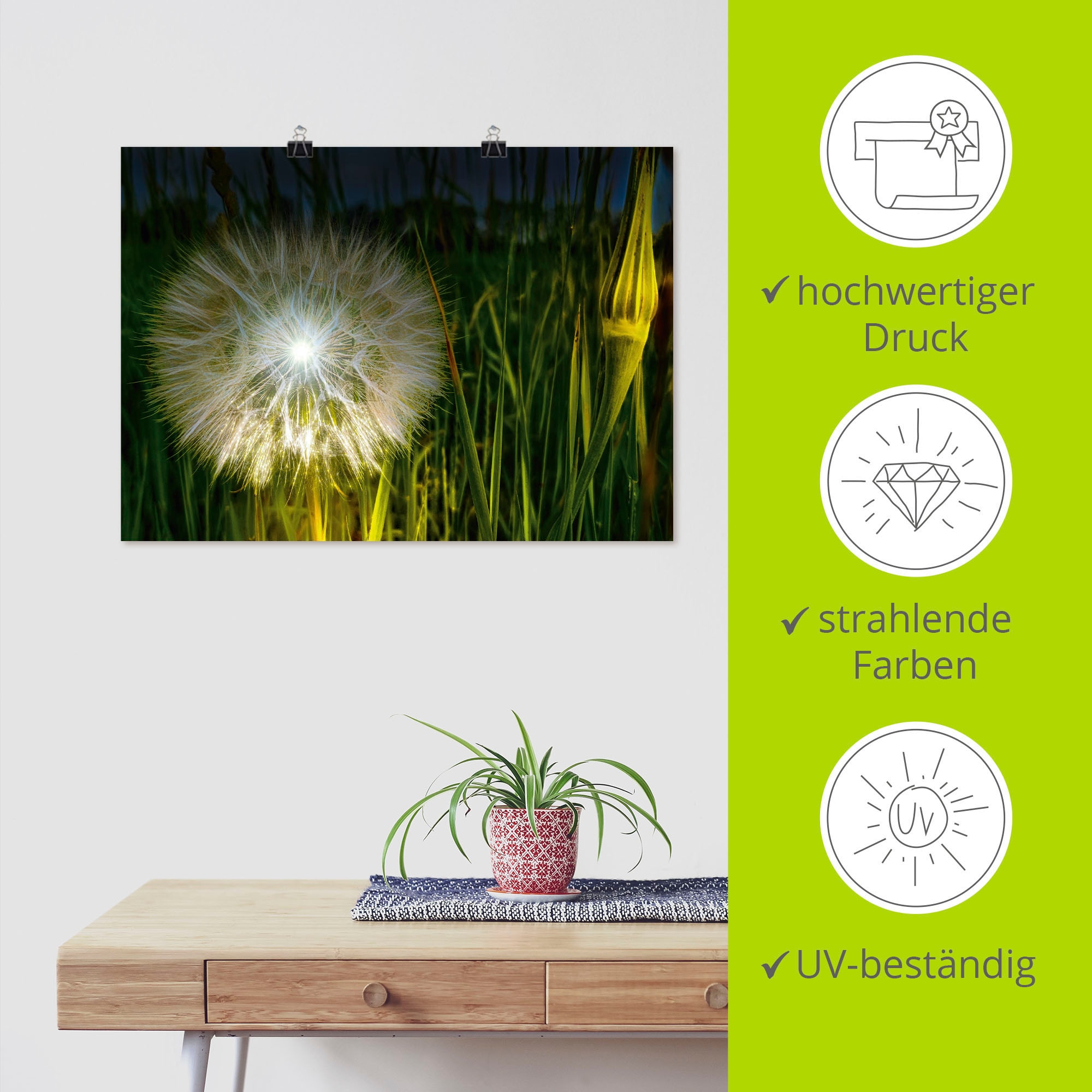 Artland Wandbild »Pusteblume Nachts beleuchtet.«, Blumenbilder, (1 St.), als Alubild, Leinwandbild, Wandaufkleber oder Poster in versch. Größen