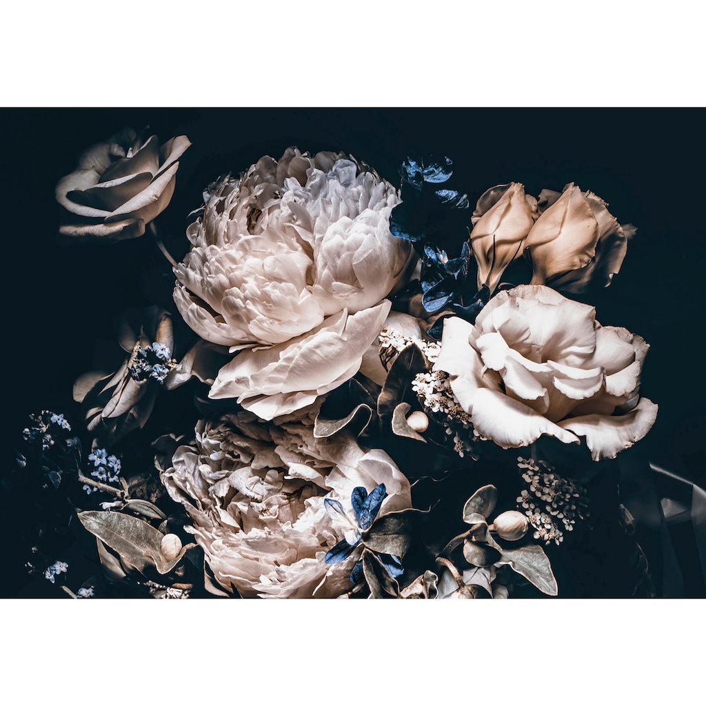 Consalnet Vliestapete »Cremefarbige Blumen«, floral