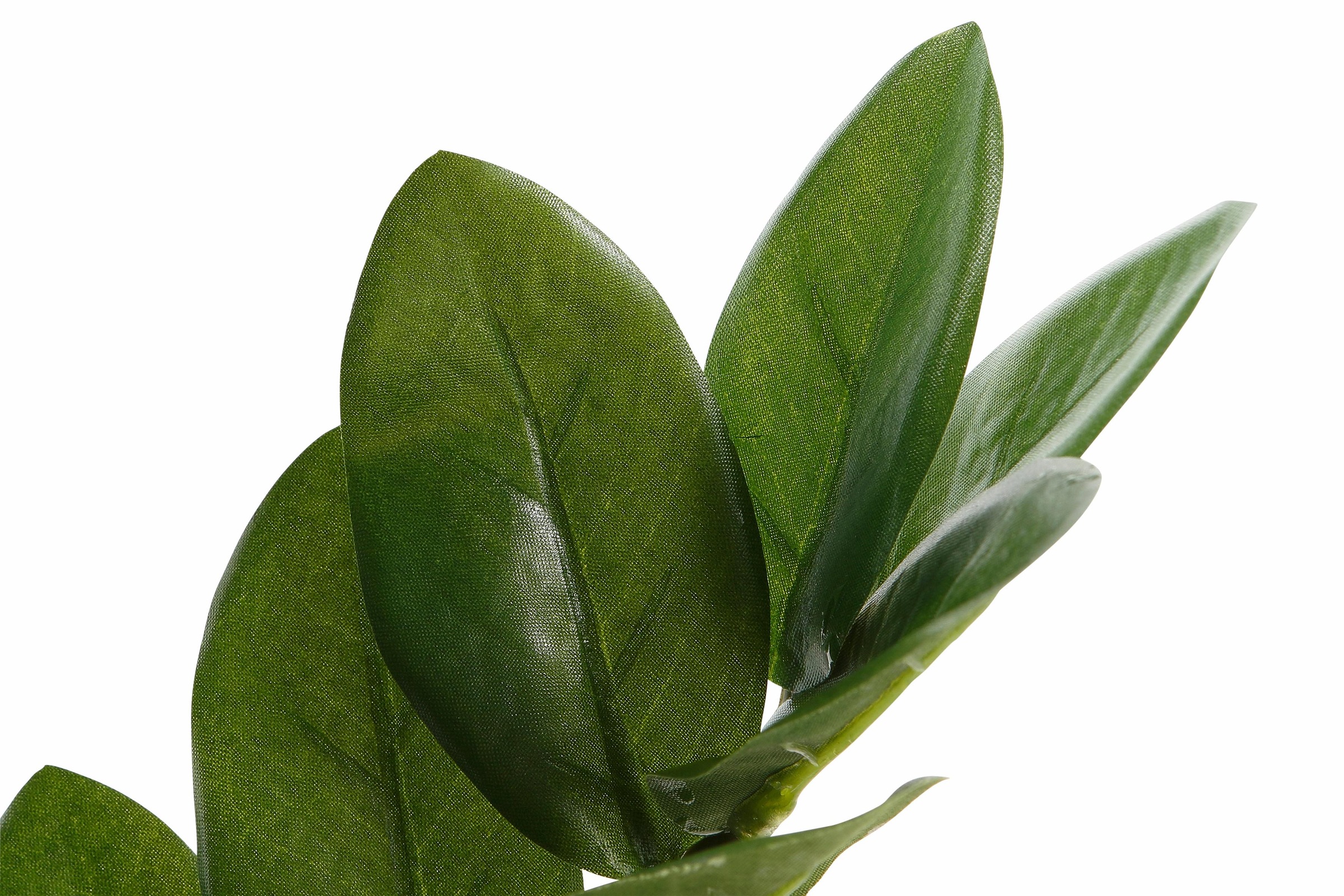 Creativ green Kunstpflanze »Zamifolia«