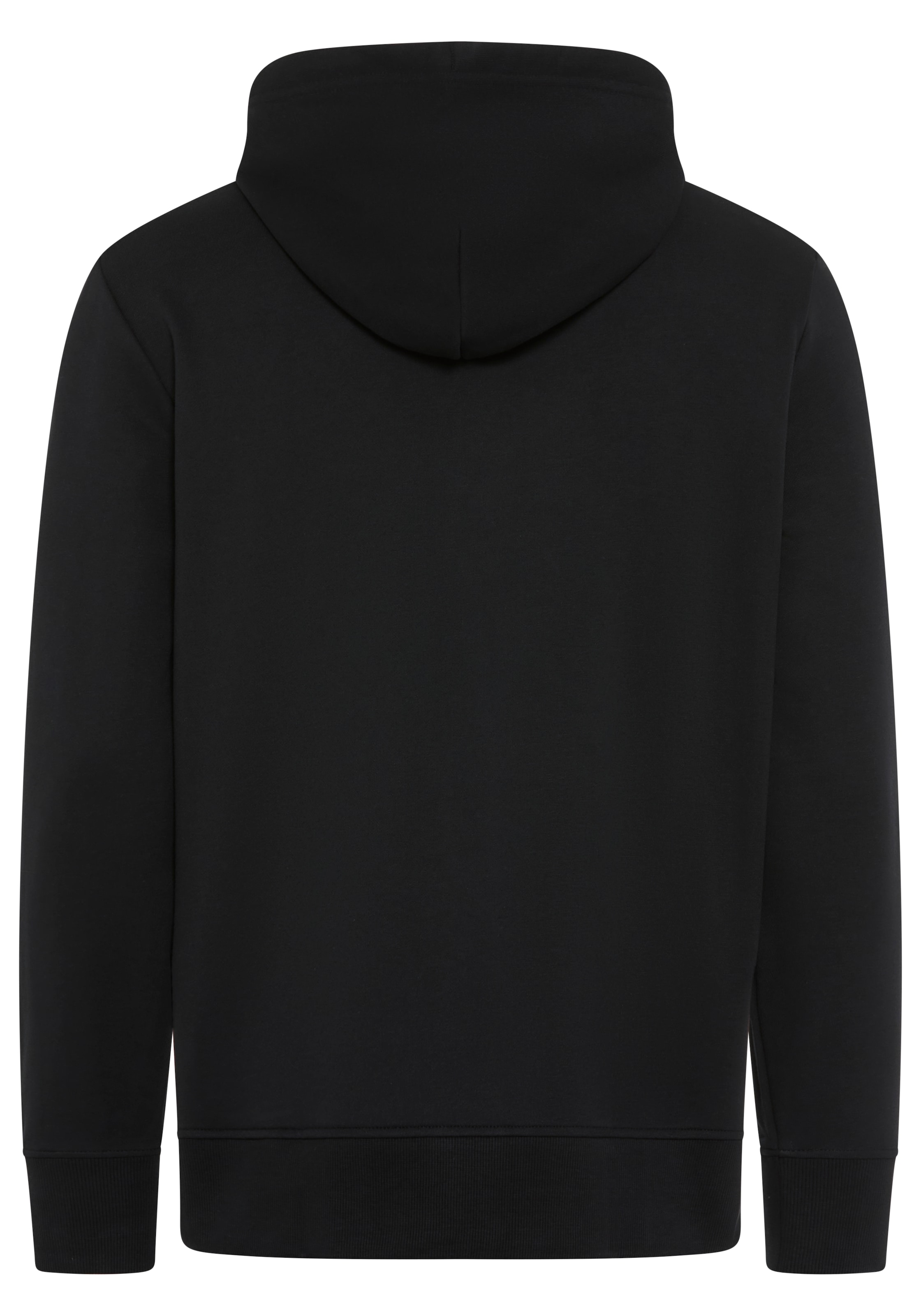 Gant Sweatshirt »PRINTED GRAPHIC«, mit Kapuze, regular fit, Kängurutasche