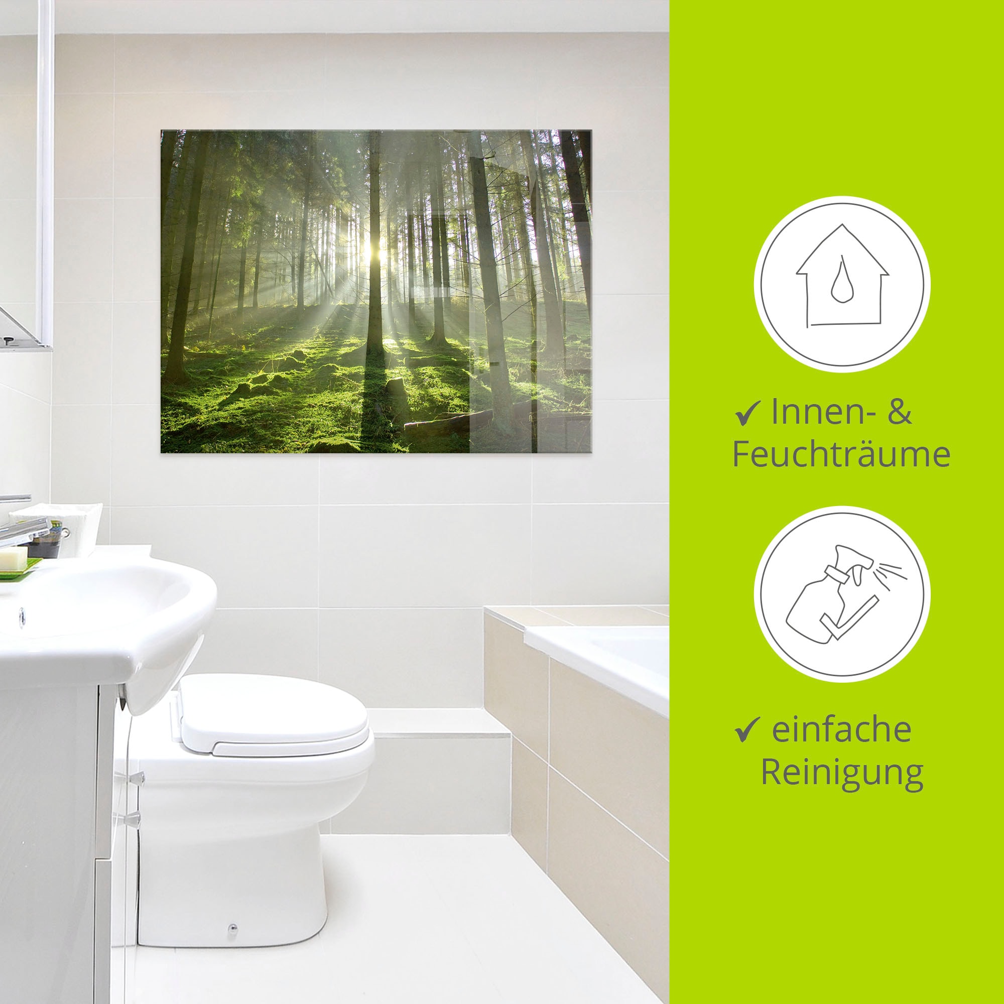 Artland Glasbild »Wald im Gegenlicht«, Wald, (1 St.), in verschiedenen Größen