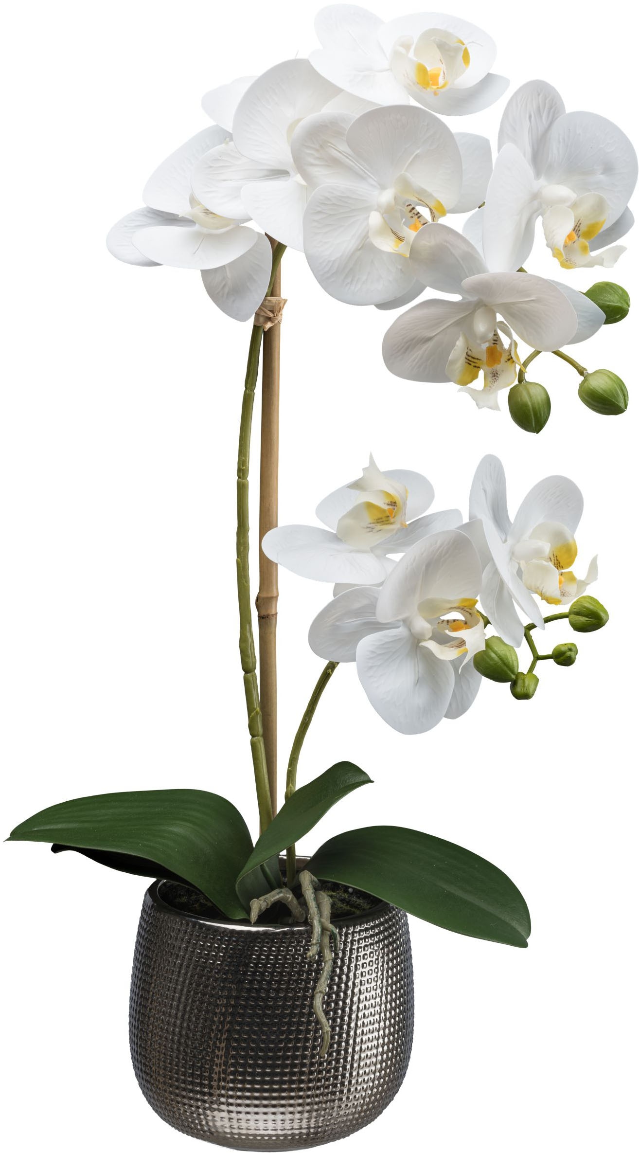 Kunstorchidee »Orchidee Phalaenopsis«, mit real-touch-Blüten