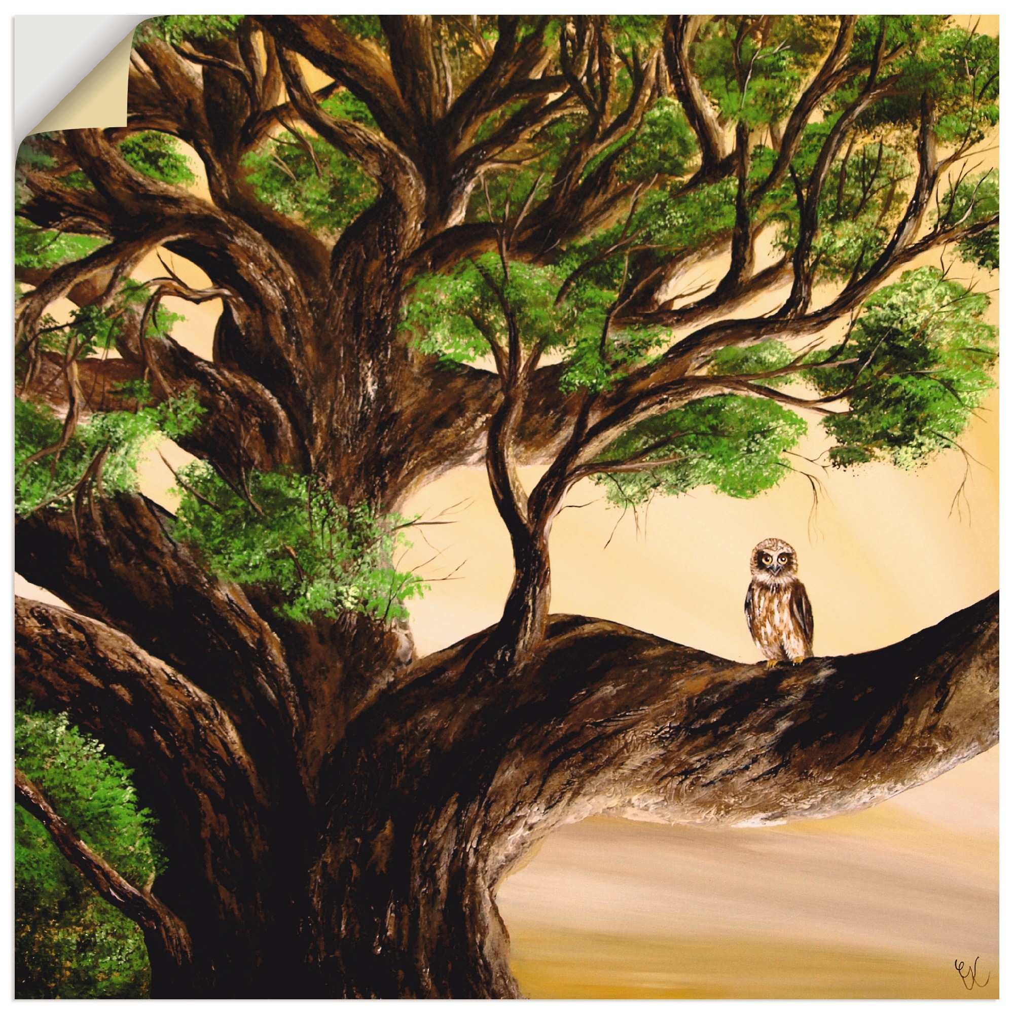 Artland Wandbild »Eule im Baum«, Vögel, (1 St.), in vielen Größen & Produktarten - Alubild / Outdoorbild für den Außenbereich, Leinwandbild, Poster, Wandaufkleber / Wandtattoo auch für Badezimmer geeignet