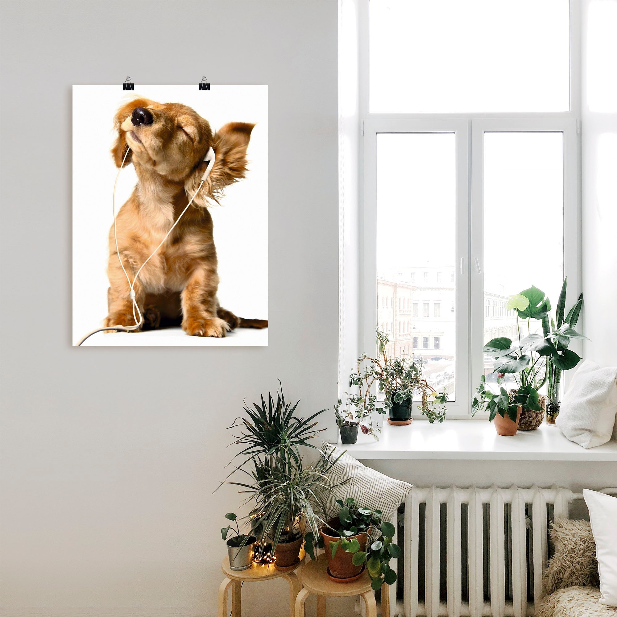 in OTTO Shop Musik Poster Wandaufkleber Haustiere, Leinwandbild, Wandbild Hund im Größen »Junger hört versch. als über Kopfhörer«, St.), Artland (1 oder Online