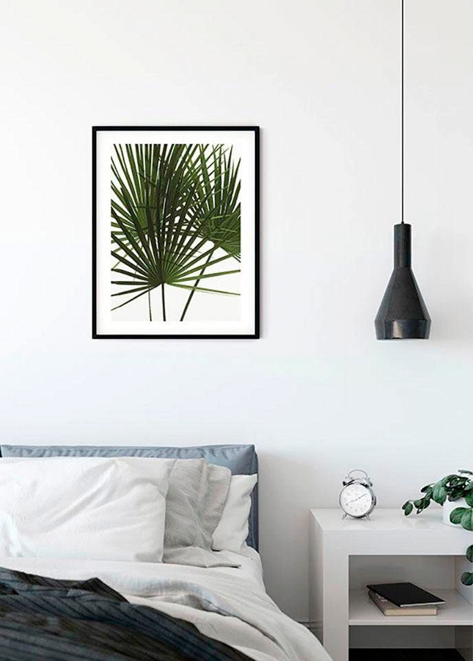 Komar Bild »Palmtree Leaves«, Pflanzen, (1 St.), Wandbild zur Dekoration - ohne Rahmen