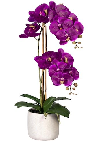 Kunstorchidee »Phalaenopsis«