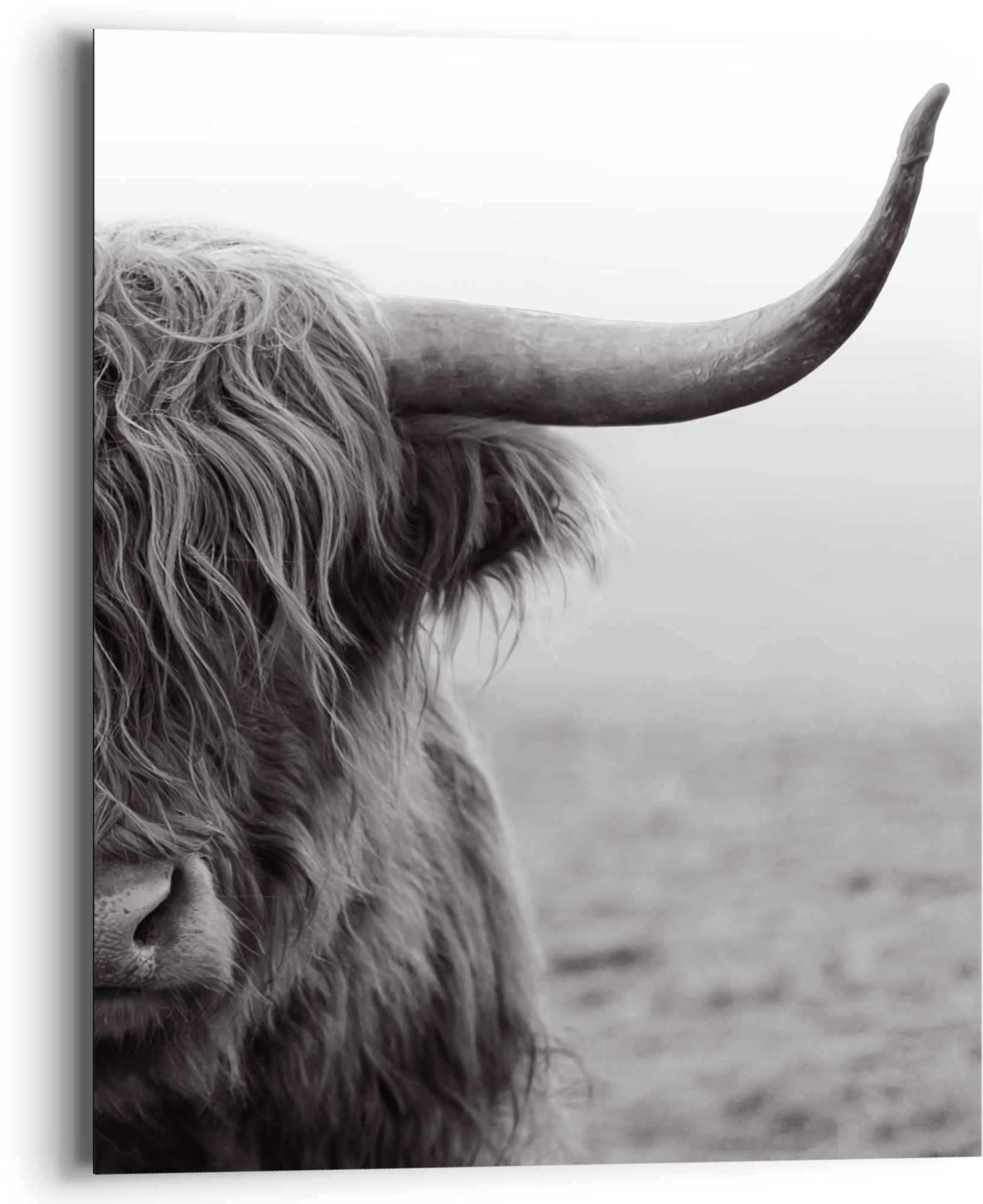Reinders! Wandbild »Wandbild Highlander Bulle Tiermotiv - Nahaufnahme - Hochlandrind«, Kuh, (1 St.)