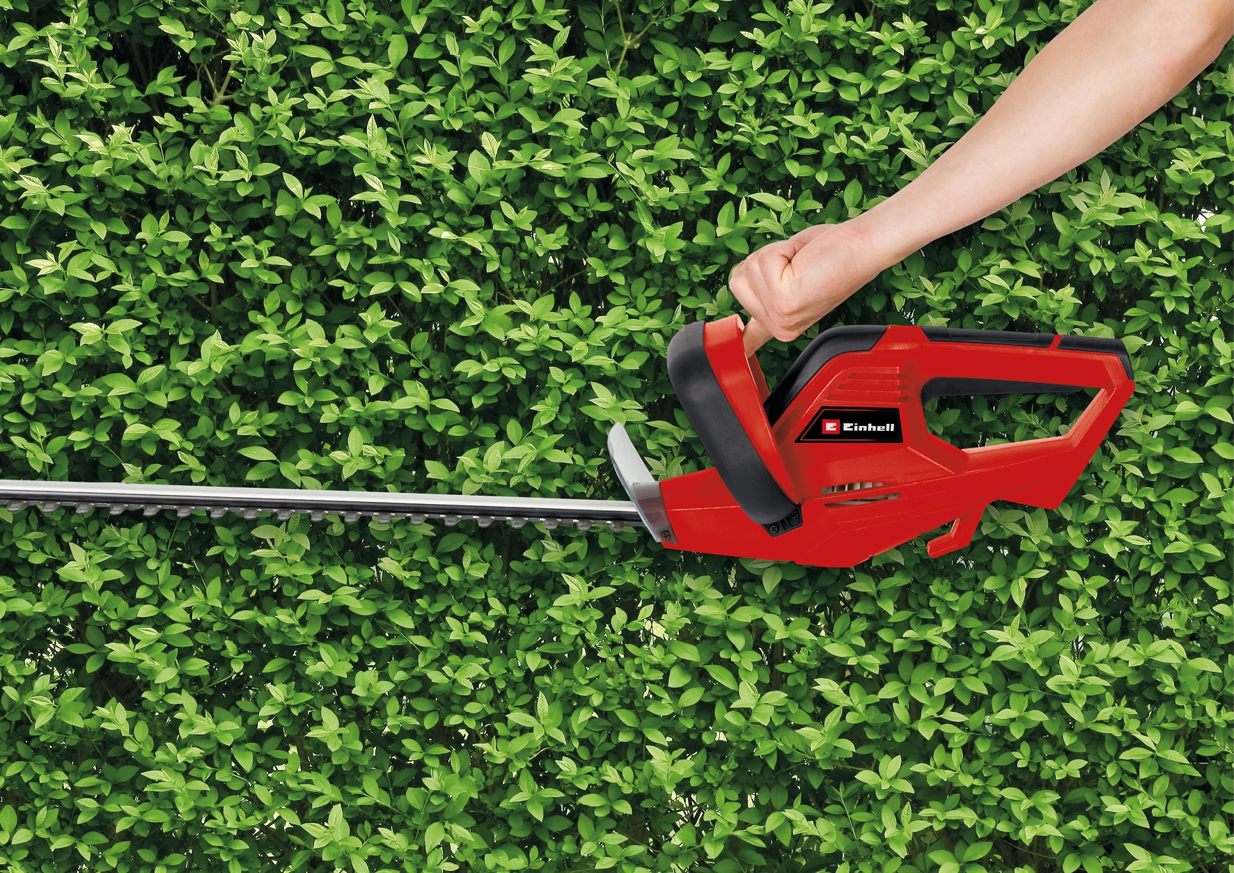 Einhell Elektro-Heckenschere »Einhell GH-EH 4245 Elektro-Heckenschere«, (1 St.)