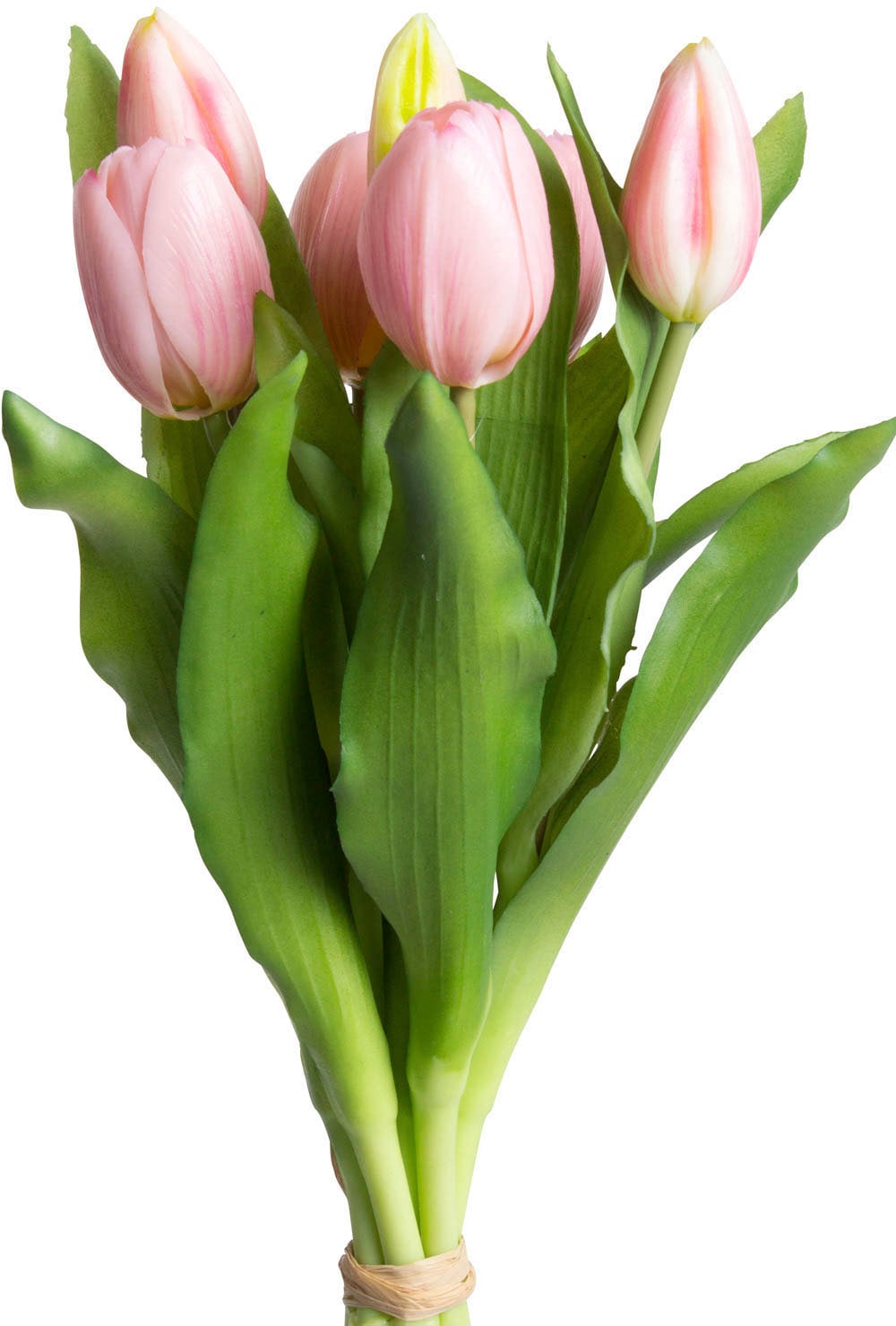 im Shop »Willa«, Online im 7er-Set Kunstblume OTTO bestellen Tulpenbündel Botanic-Haus