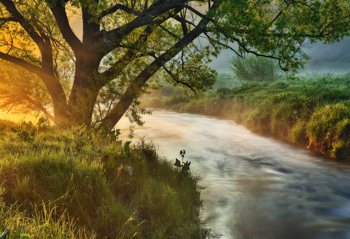 Papermoon Fototapete "Fluss am Baum"