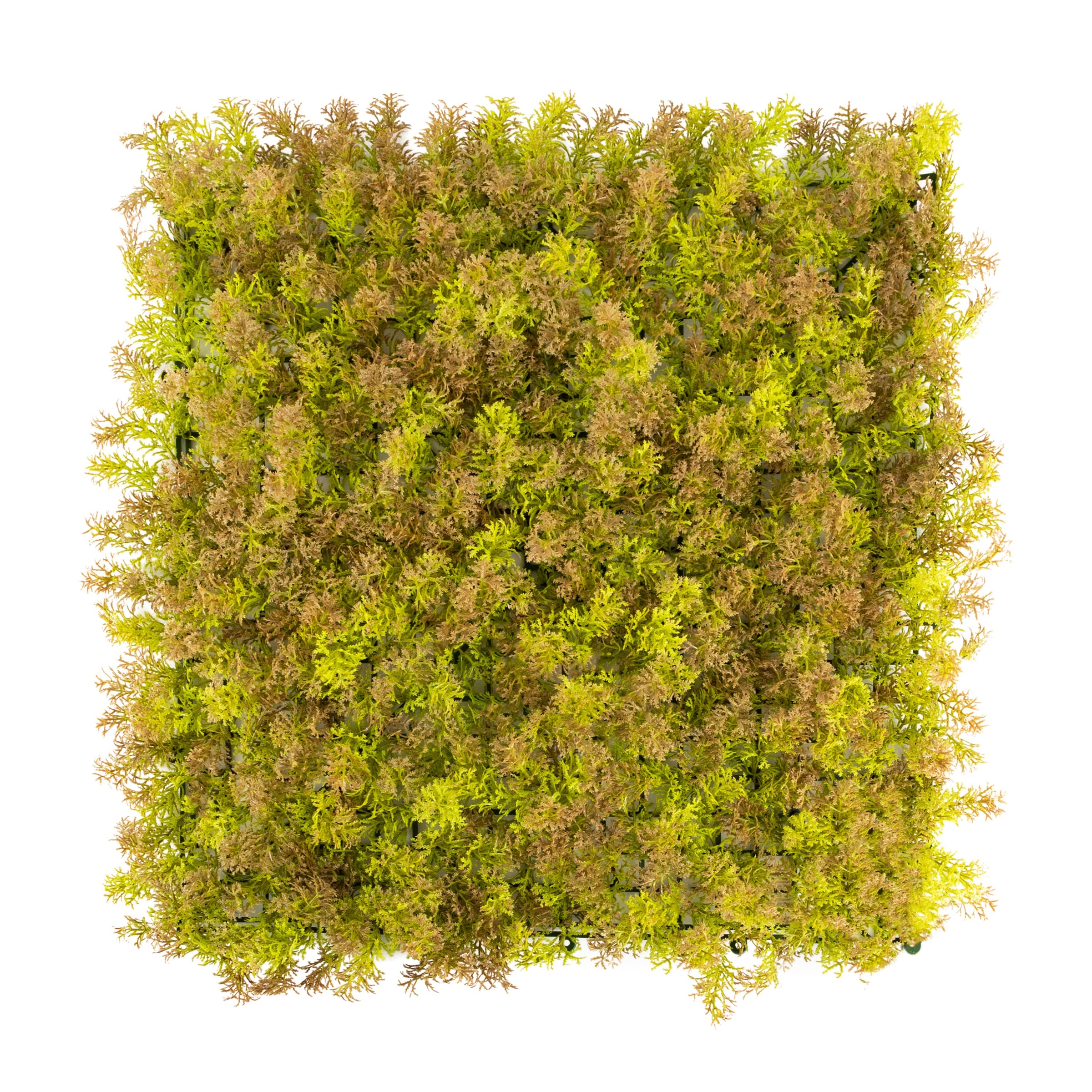 Primaflor-Ideen in Textil Kunstpflanze »Pflanzenwand, 50x50cm« Wanddeko, realistische Optik, In- und Outdoor geeignet, UV-beständig