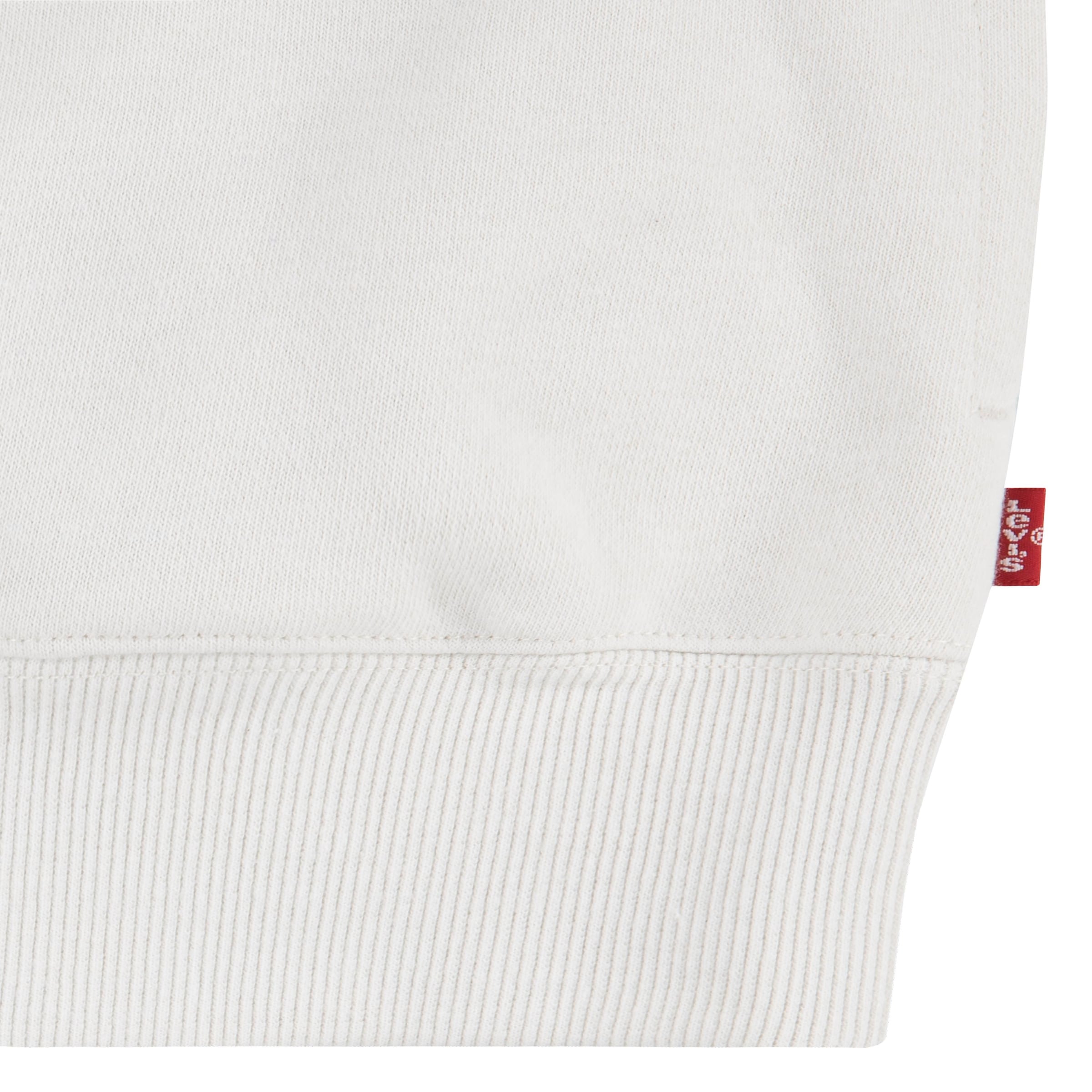 Levi's® Kids Hoodie, mit großem Frontprint, for BOYS