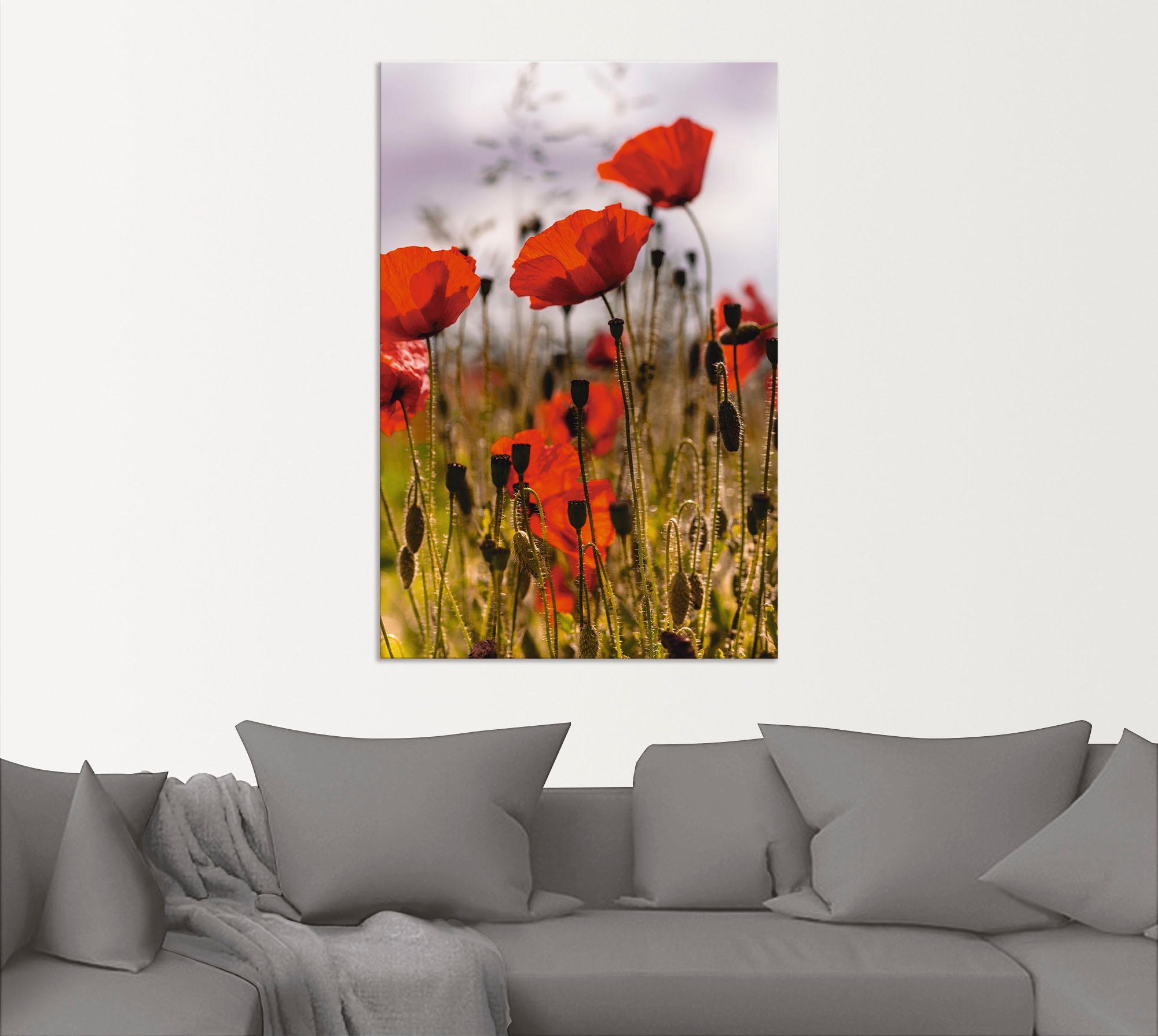 Artland Wandbild »Mohnblumen im Morgenlicht«, Blumenwiese, (1 St.), als Alubild, Outdoorbild, Leinwandbild, Poster in verschied. Größen
