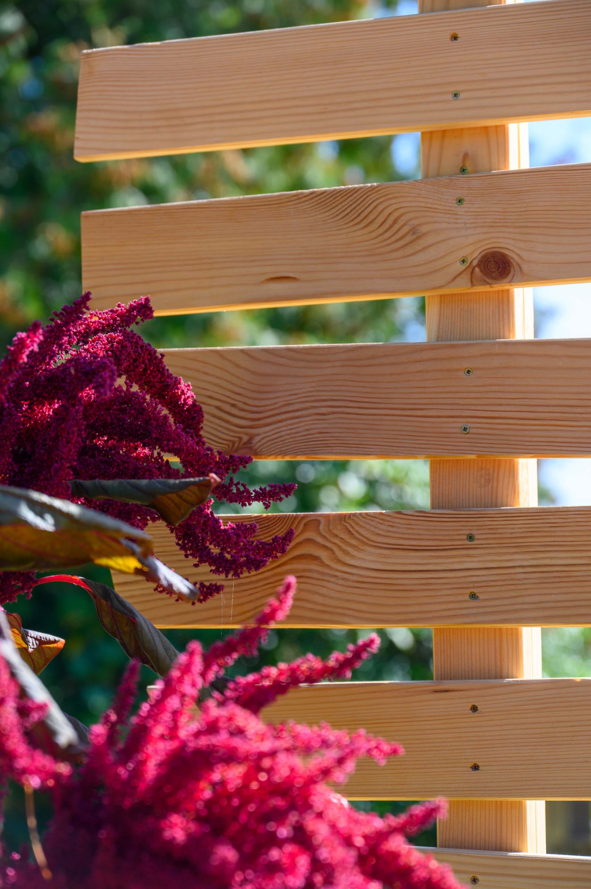 dobar Rankhilfe »Großes Design-Rankgerüst "Bambus"« 49 x 6 x 197 cm (L x B x H)