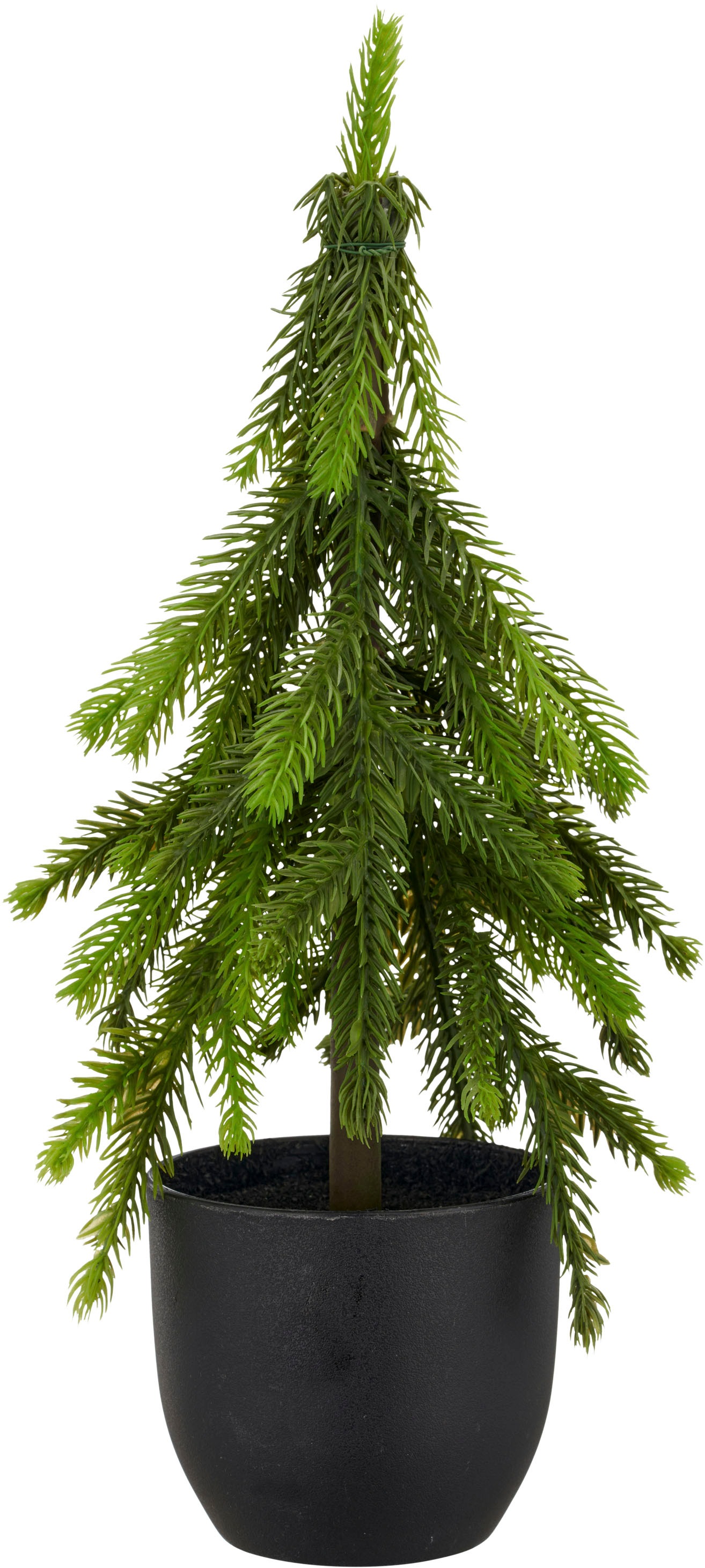 Creativ green Winterliche Kunstpflanze »Tannenbäumchen« im Set aus 2 Größen