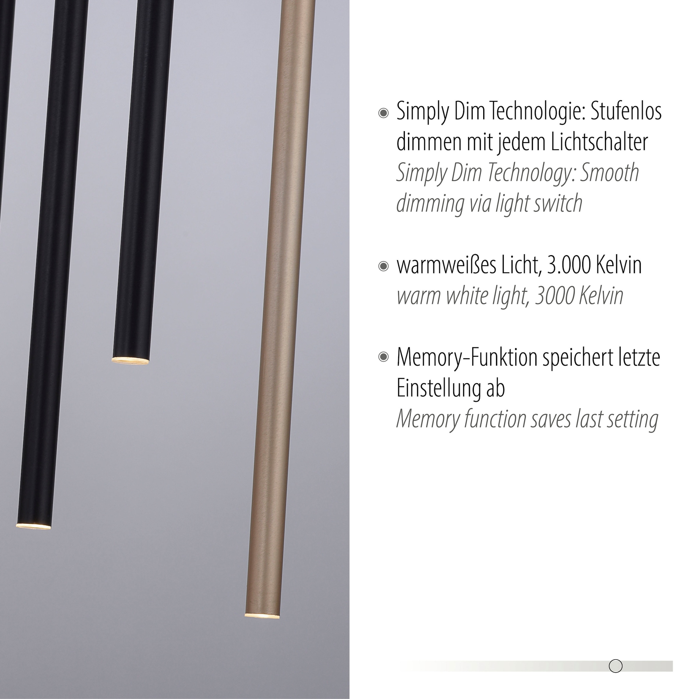 Paul Neuhaus Pendelleuchte »FLUTE«, 10 flammig, Leuchtmittel LED-Board | LED fest integriert