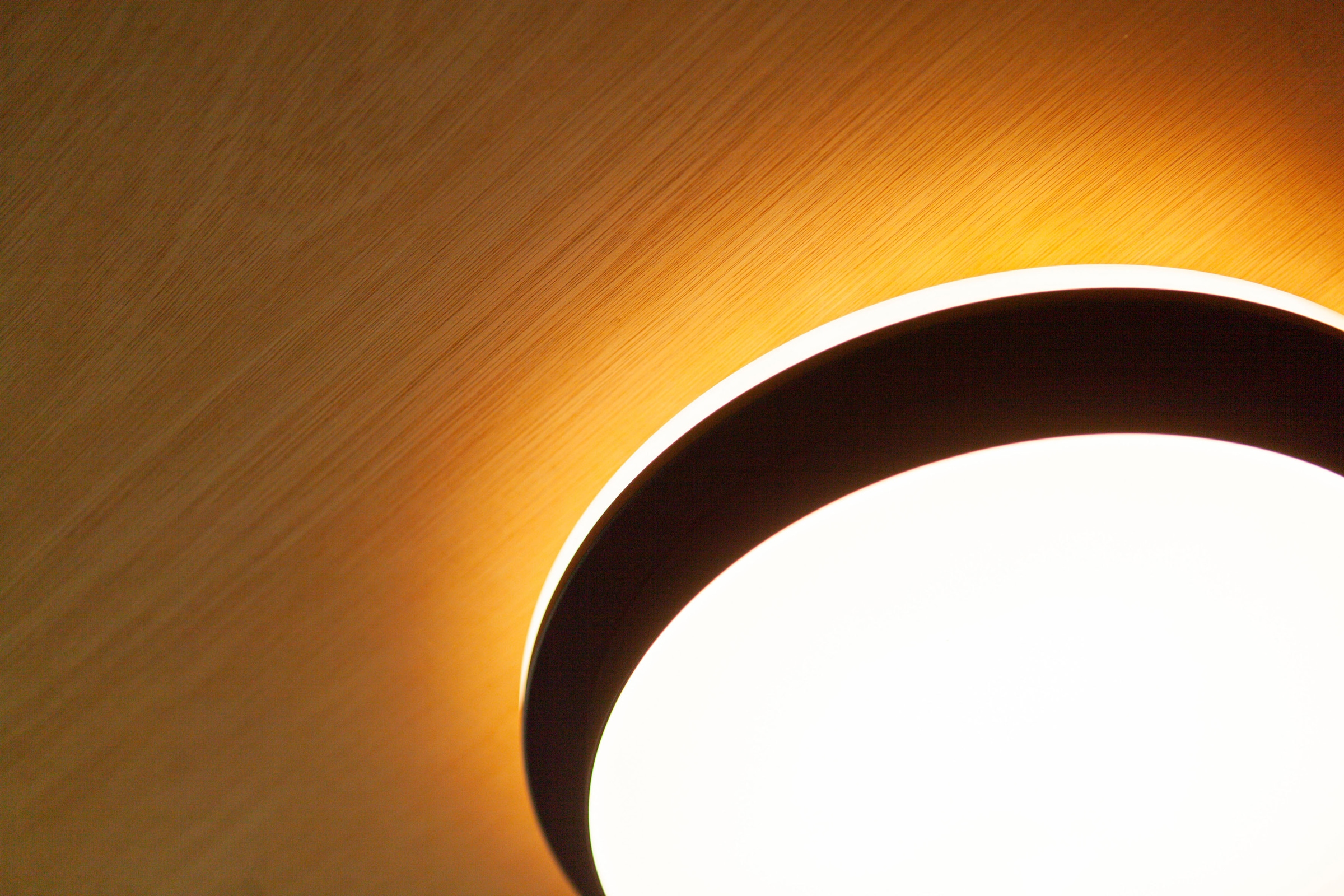 LUTEC LED Außen-Deckenleuchte »GOLETA«, Leuchtmittel LED-Modul | LED fest integriert