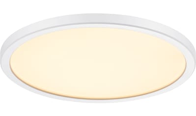 Nordlux Deckenleuchte »Oja 24 2700k«, LED-Board, Warmweiß, Deckenlampe kaufen