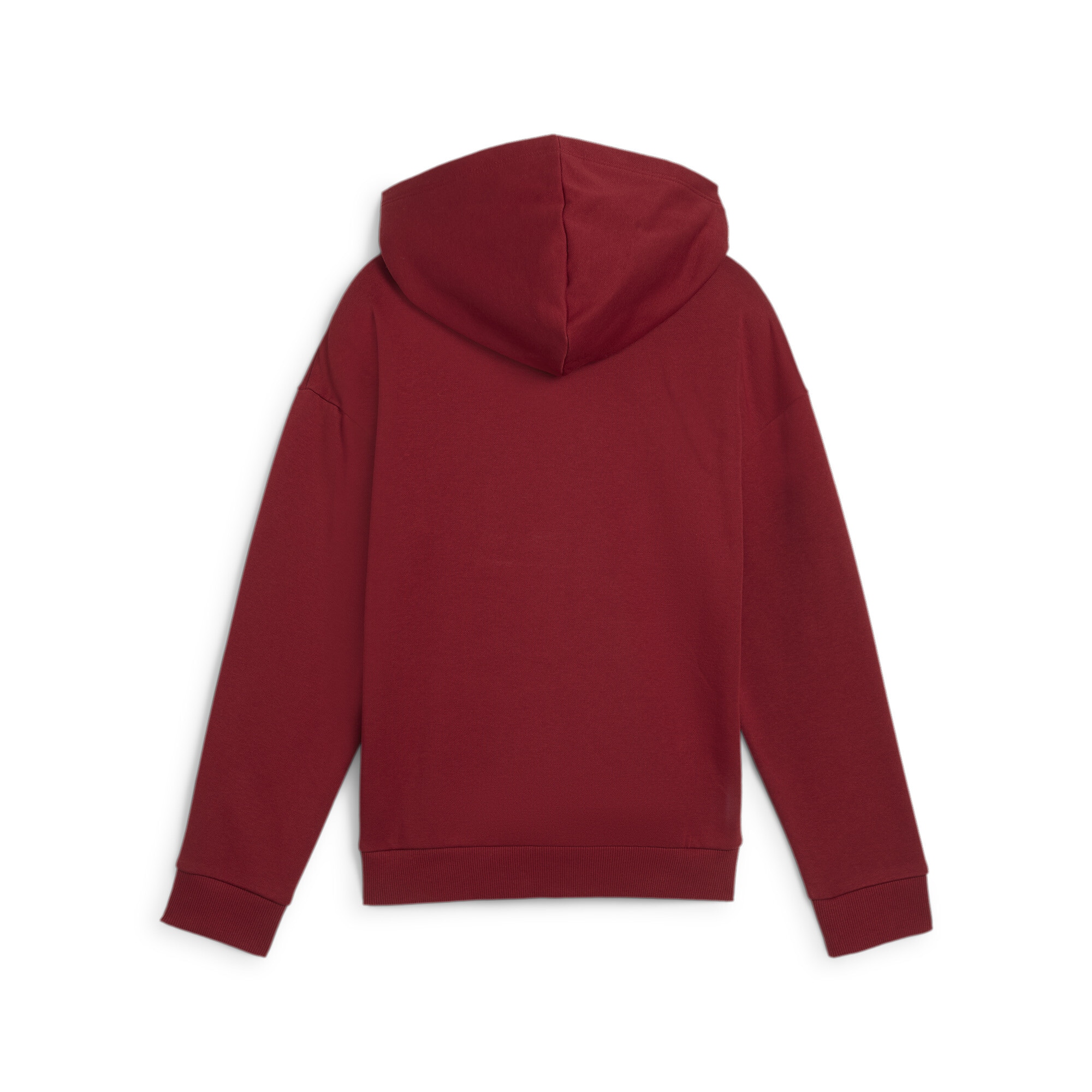 PUMA Kapuzensweatshirt »ESS+ SCRIPT METALLIC HOODIE FL G«