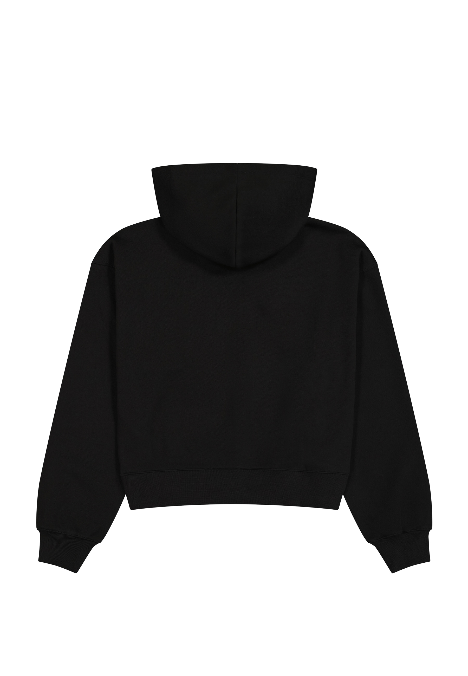 Champion Kapuzensweatshirt