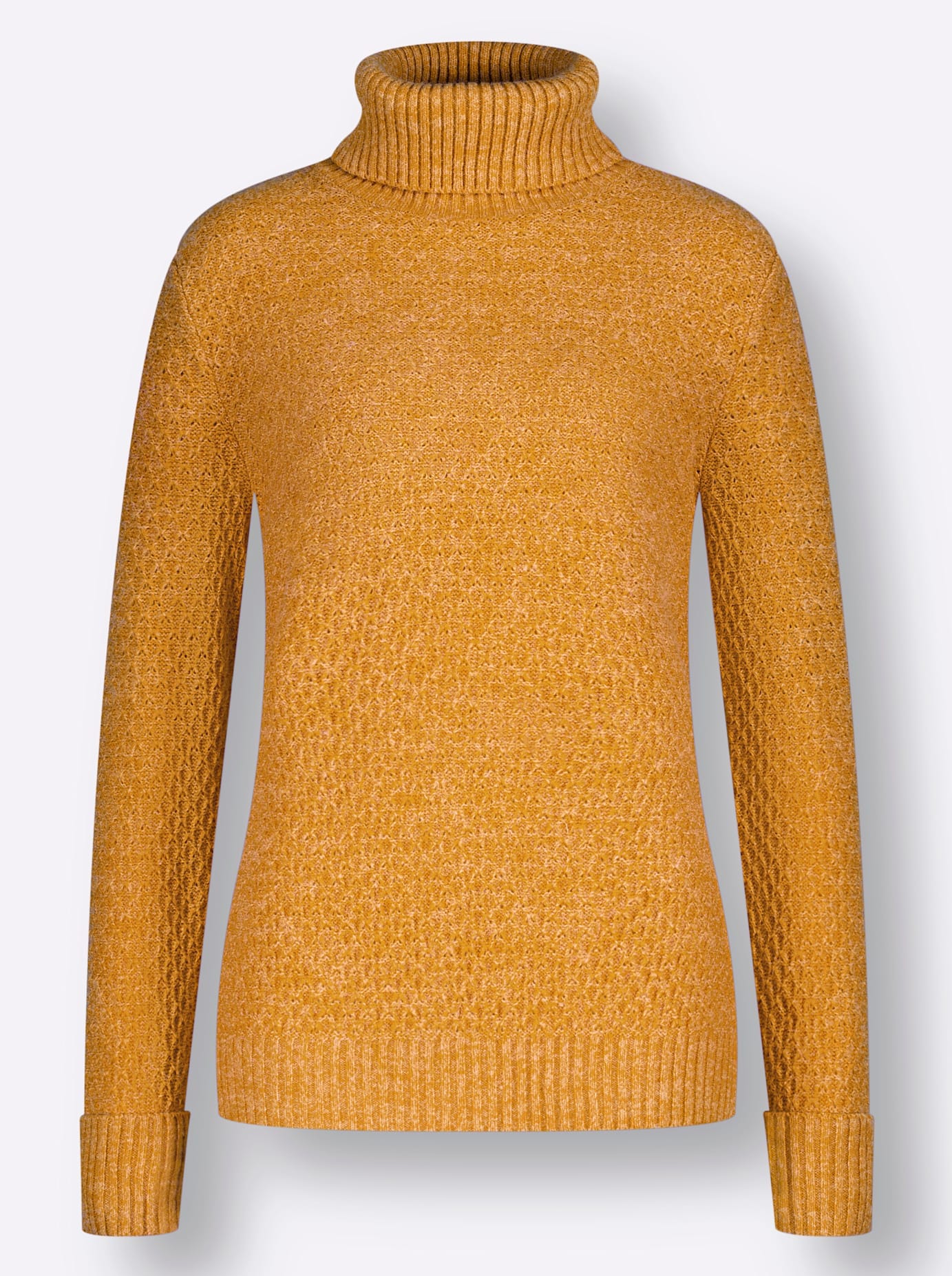Inspirationen Rollkragenpullover »Rollkragen-Pullover«