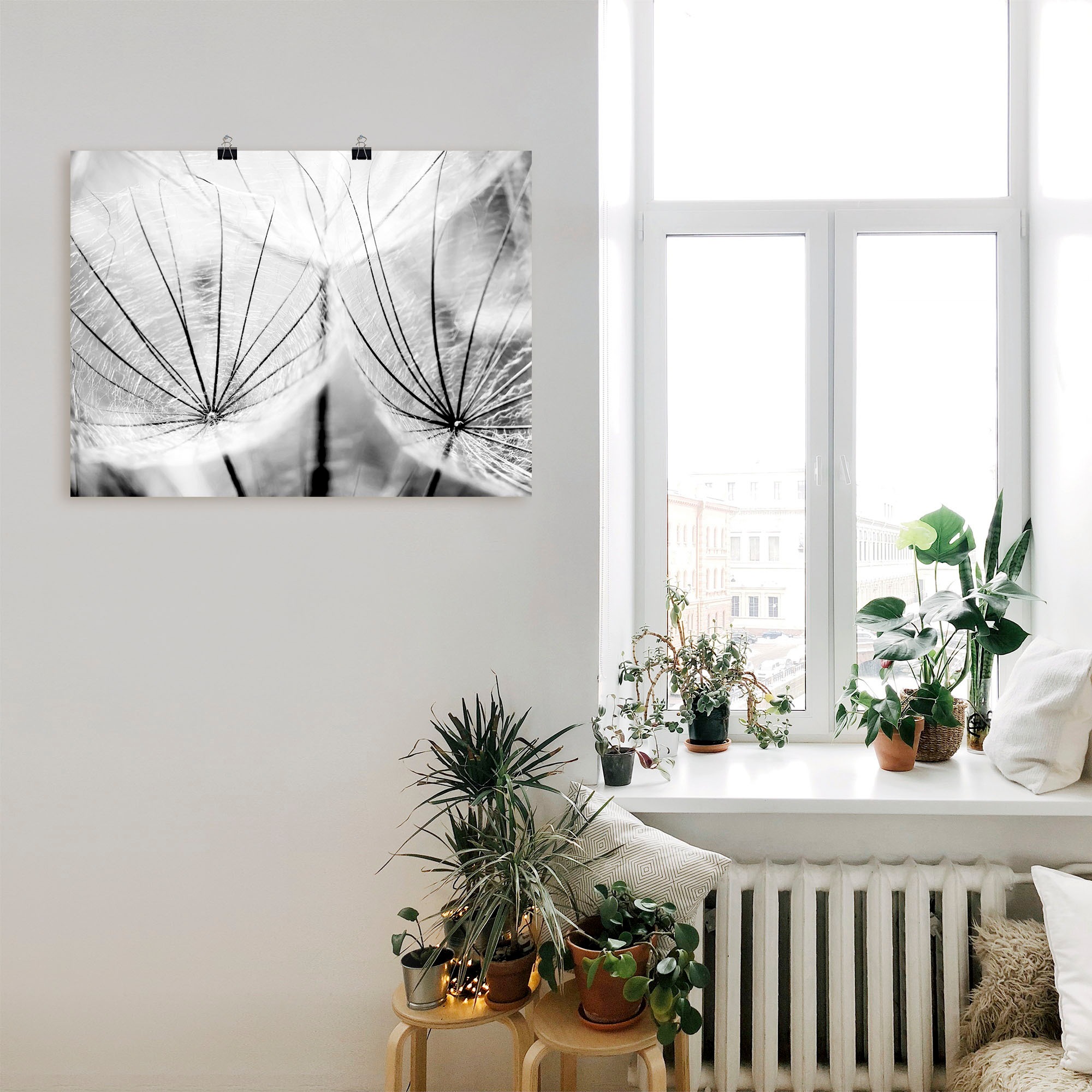 Artland Wandbild »Pusteblume in schwarzweiß«, Blumen, (1 St.), als Alubild, Outdoorbild, Leinwandbild, Poster, Wandaufkleber