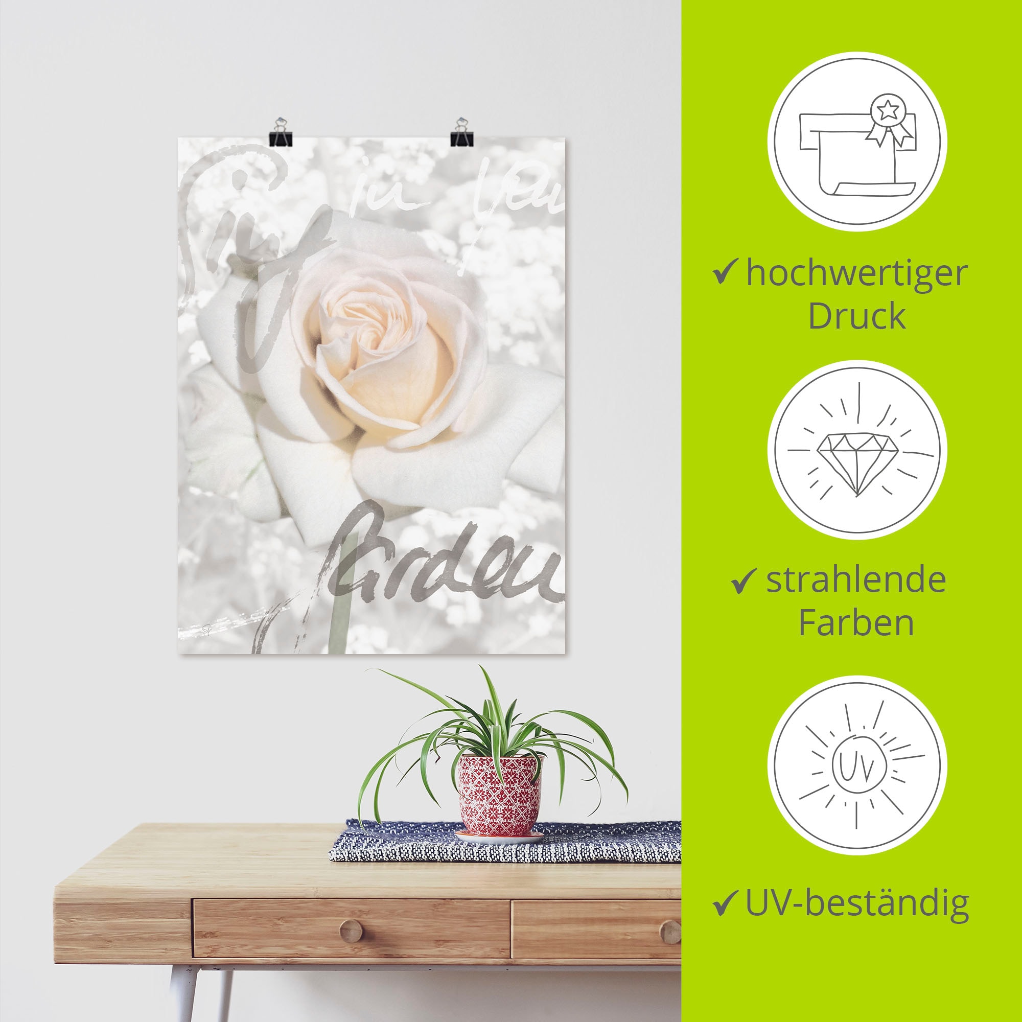 Artland Wandbild »In Lettern - Rose« 1 Stk. tlg. als Alubild, Outdoorbild, Leinwandbild, Poster in verschied. Größen