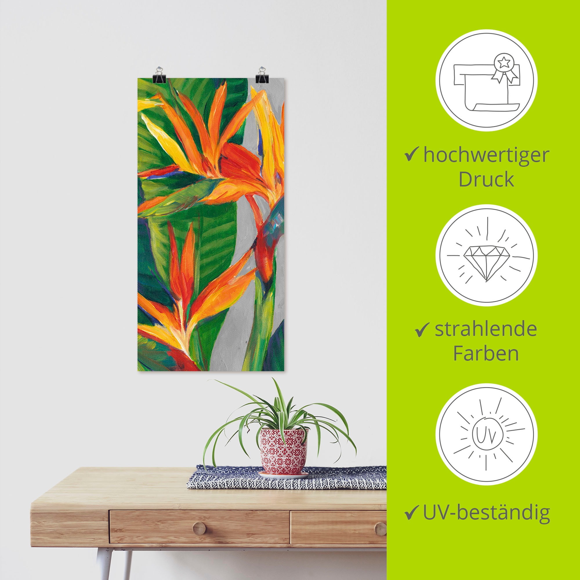 Artland Wandbild »Paradiesvogel II«, Pflanzen, (1 St.), als Alubild, Outdoorbild, Leinwandbild, Poster in verschied. Größen