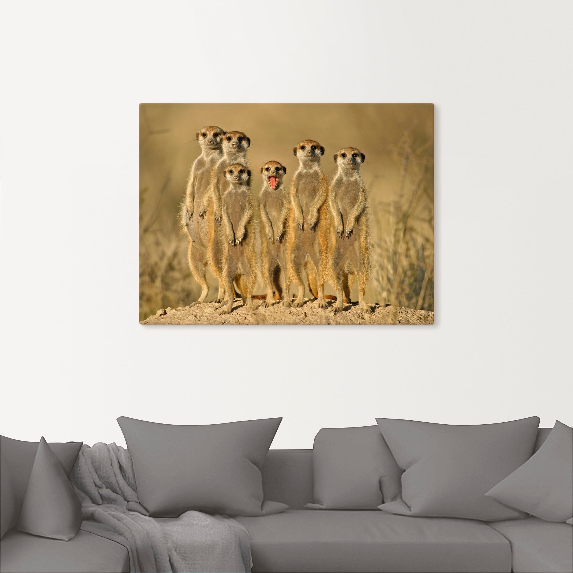 Artland Wandbild »Erdmännchen Familie«, Wildtiere, (1 St.), als Alubild, Outdoorbild, Leinwandbild, Poster, Wandaufkleber