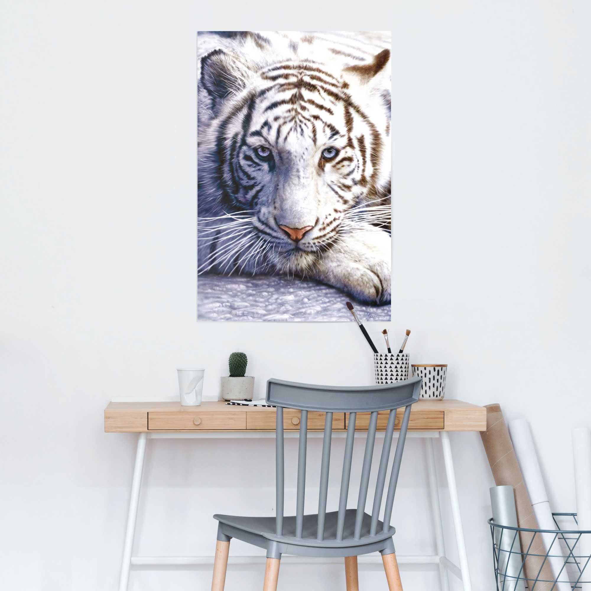 Reinders! Poster »Weißer Tiger« 1 Stk. tlg.