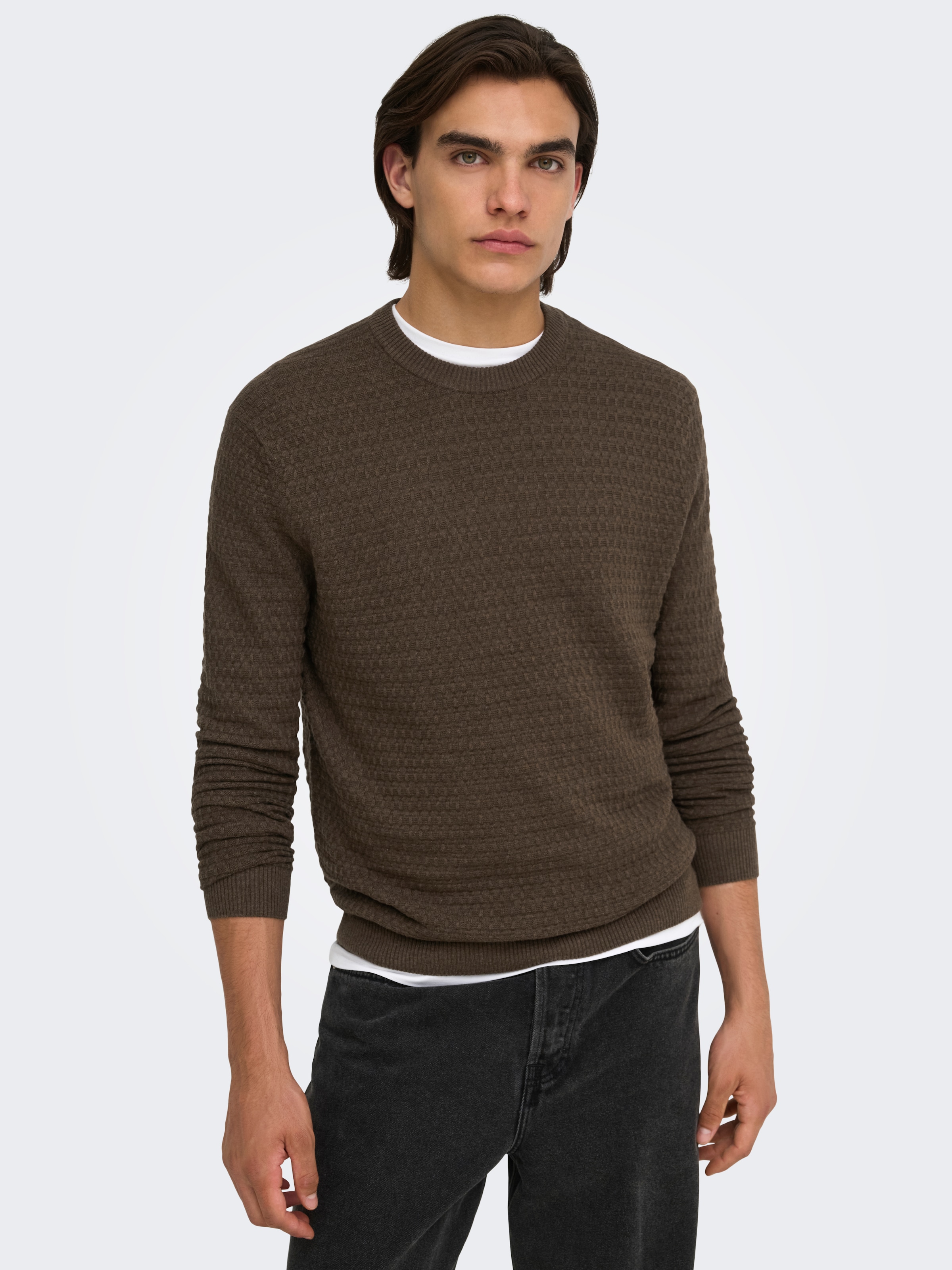 ONLY & SONS Rundhalspullover »ONSLOUI LS STRUCTURE CREW REG NOOS« Baumwollmischung, regular fit