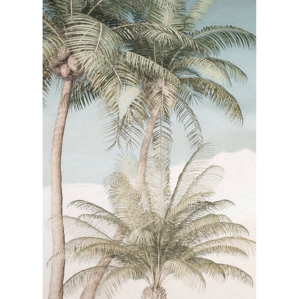 Komar Vliestapete »Palm Oasis«, 200x280 cm (Breite x Höhe), Vliestapete, 100 cm Bahnbreite