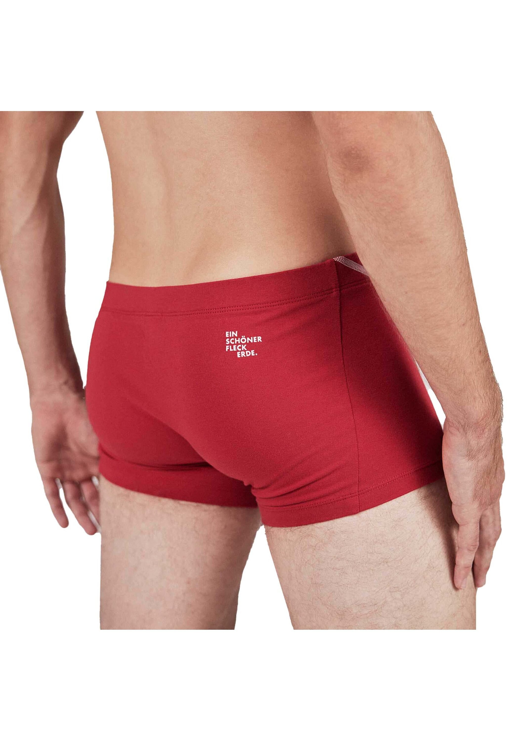 EIN SCHÖNER FLECK ERDE Boxershorts »Boxershort 1er Pack«