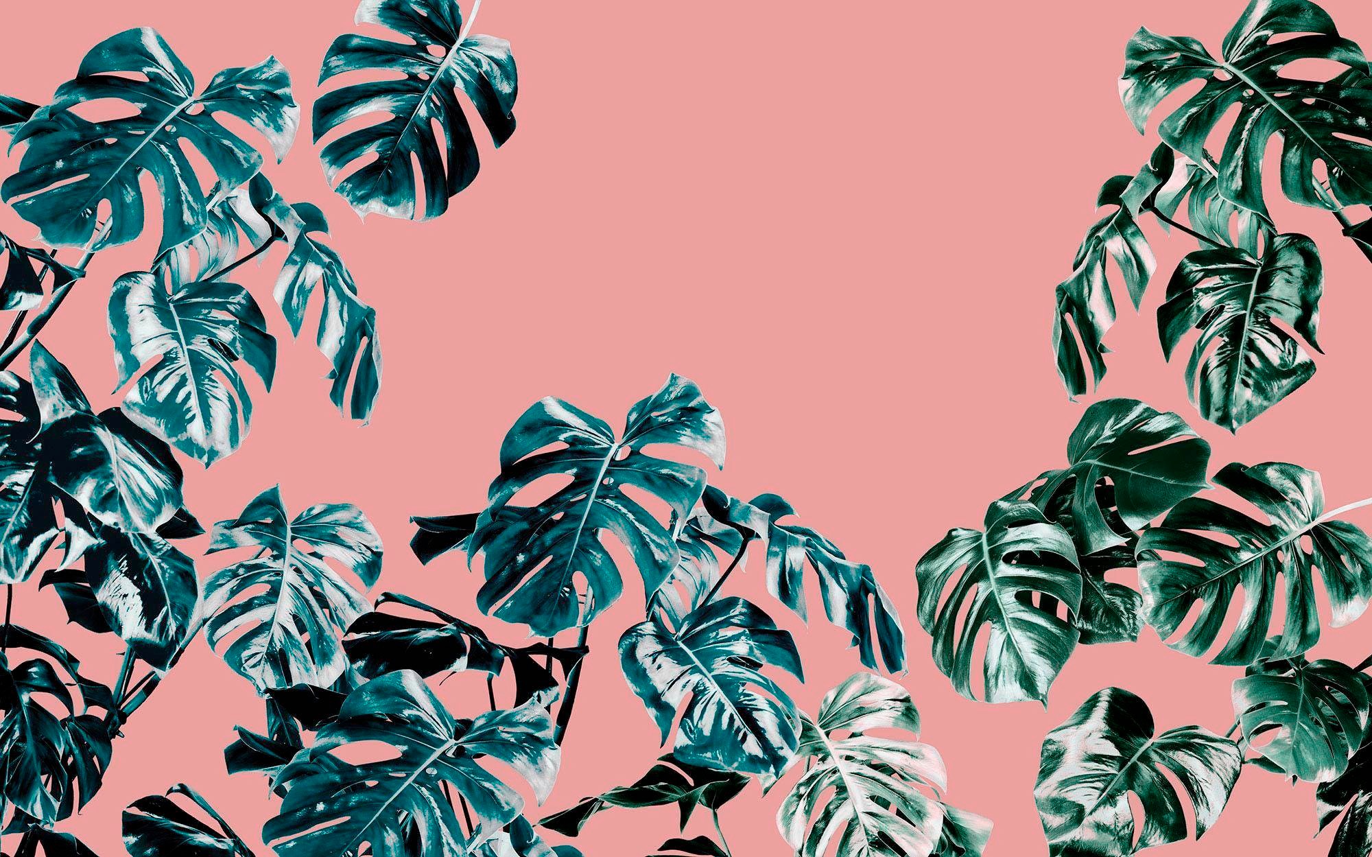 Komar Vliestapete »Pure Monstera Rosé«, naturalistisch