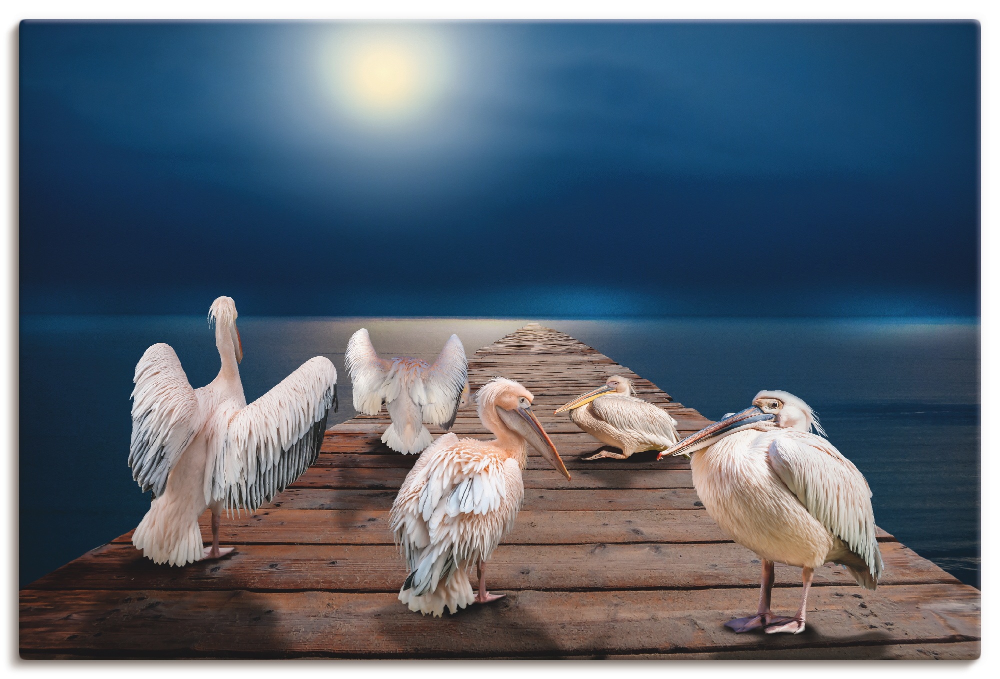 Artland Wandbild »Pelikane am Meer«, Vögel, (1 St.), in vielen Größen & Produktarten - Alubild / Outdoorbild für den Außenbereich, Leinwandbild, Poster, Wandaufkleber / Wandtattoo auch für Badezimmer geeignet