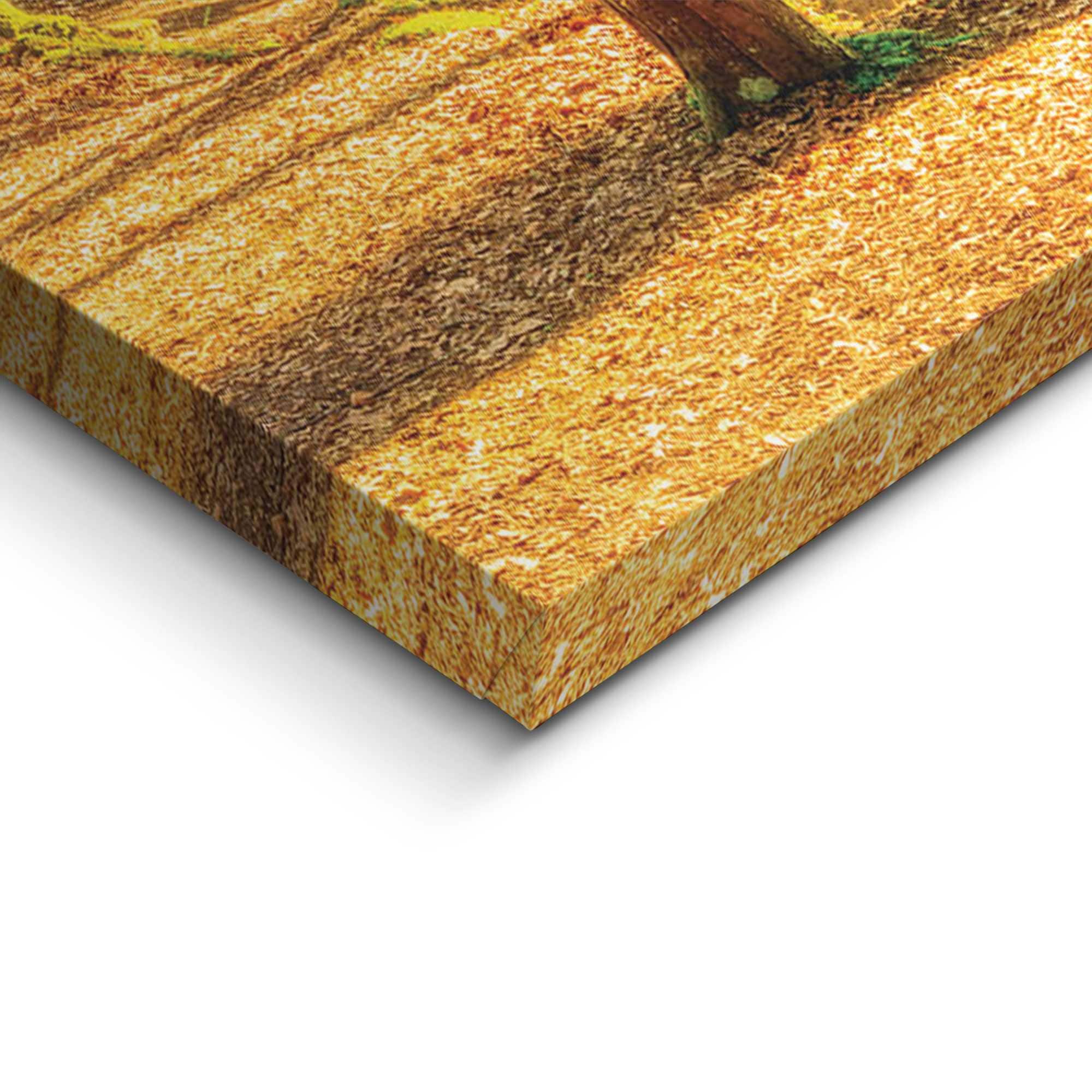 Reinders! Deco-Panel »Sonnenschein im Wald« Hobbyraum - Grün - MDF - Wald - 118x70 cm