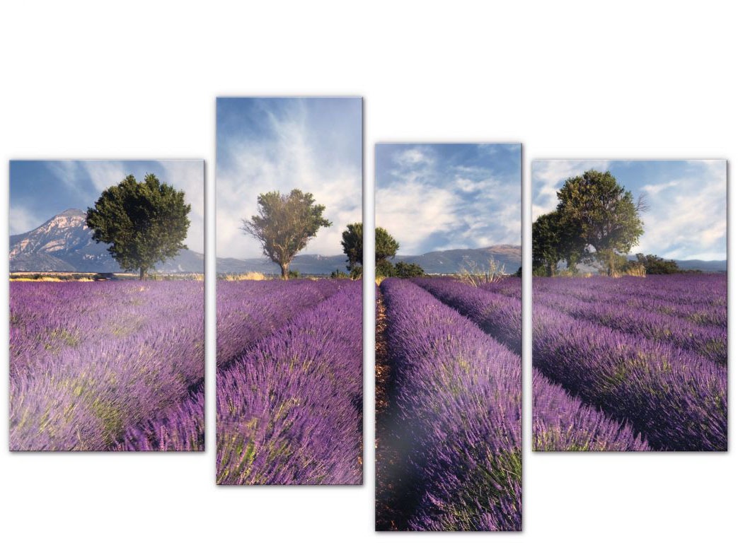 Wall-Art Mehrteilige Bilder »Lavendel Blumenfeld (4-teilig)«, (Set, 4 St.)