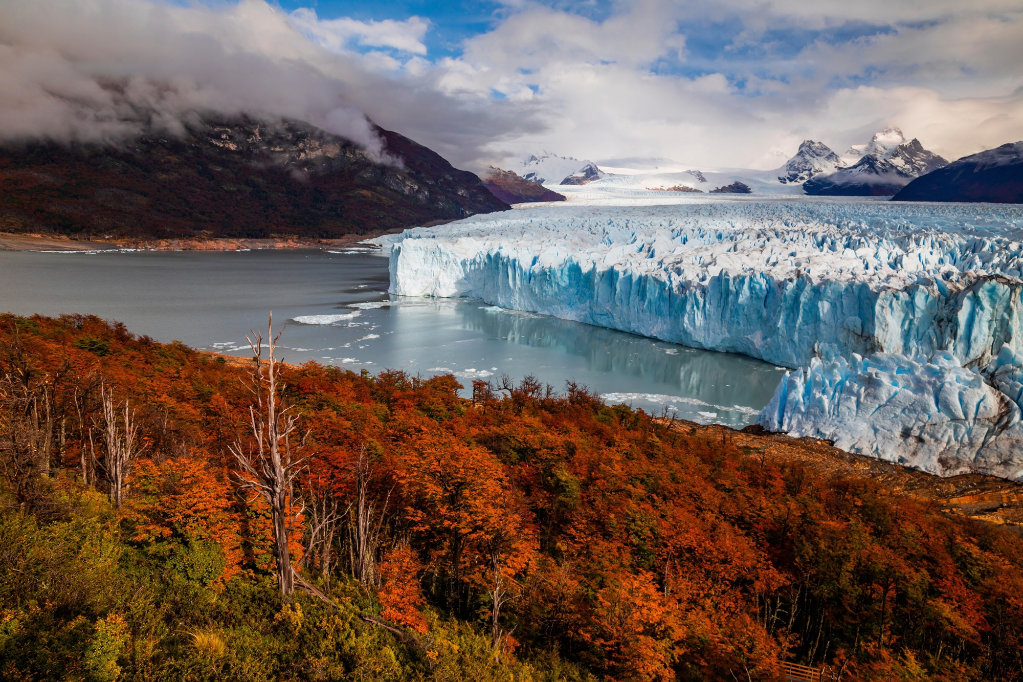 Fototapete »GLETSCHER-PATAGONIEN GEBIRGE WALD BERGE SONNE STEINE«