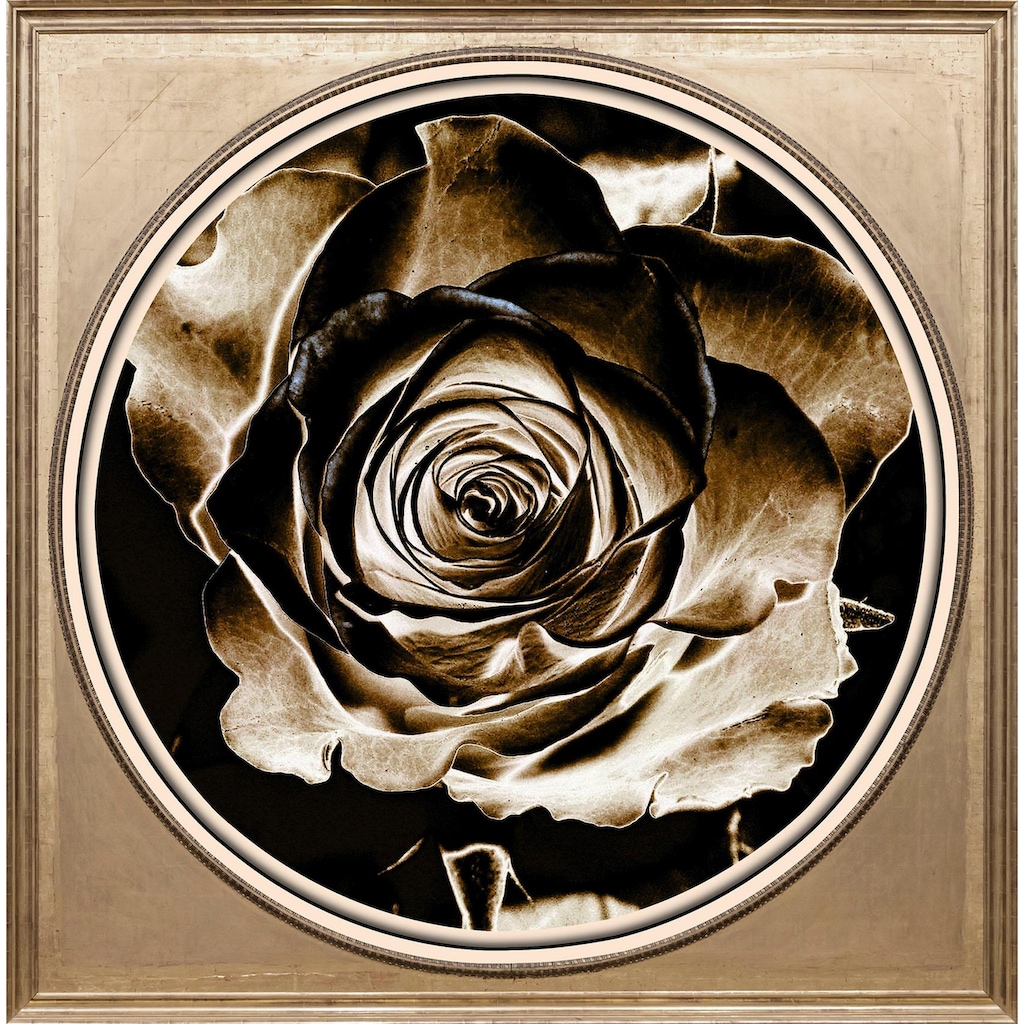 queence Acrylglasbild »Rose Sepia«