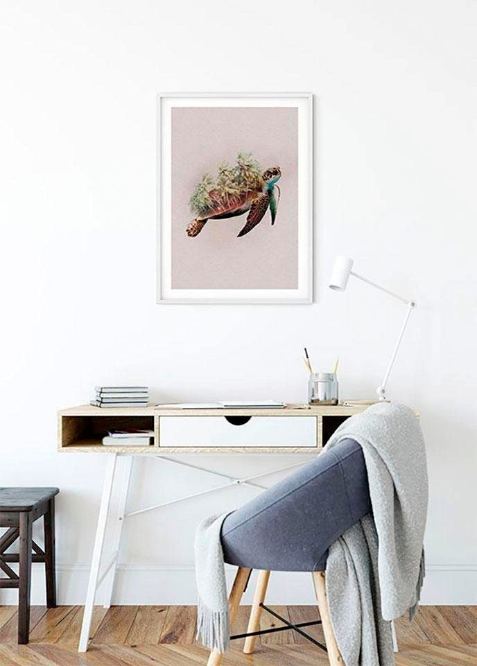 Komar Poster »Animals Paradise Turtle«, Tiere, (1 St.), Kinderzimmer,  Schlafzimmer, Wohnzimmer bestellen im OTTO Online Shop