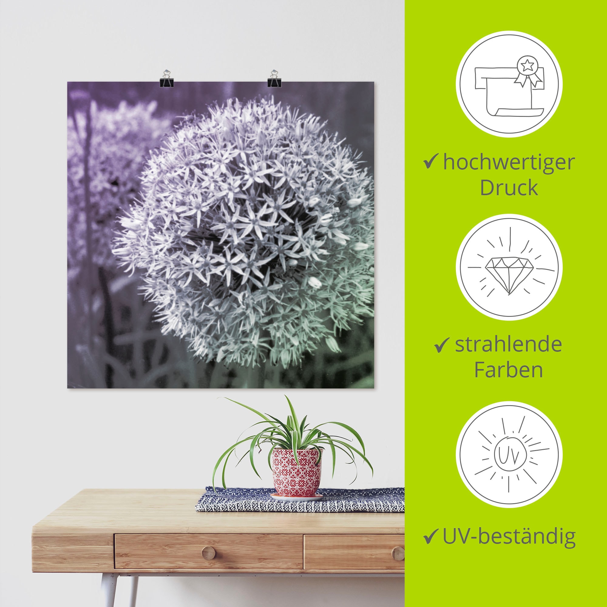 Artland Wandbild »Lila Sensation I«, Blumen, (1 St.), als Alubild, Outdoorbild, Leinwandbild, Poster, Wandaufkleber