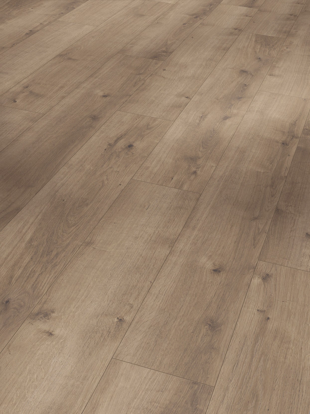 PARADOR Designboden »Modular ONE«, (Packung), Eiche pure perlgrau, 194x1285x8 mm, 2,493 m²