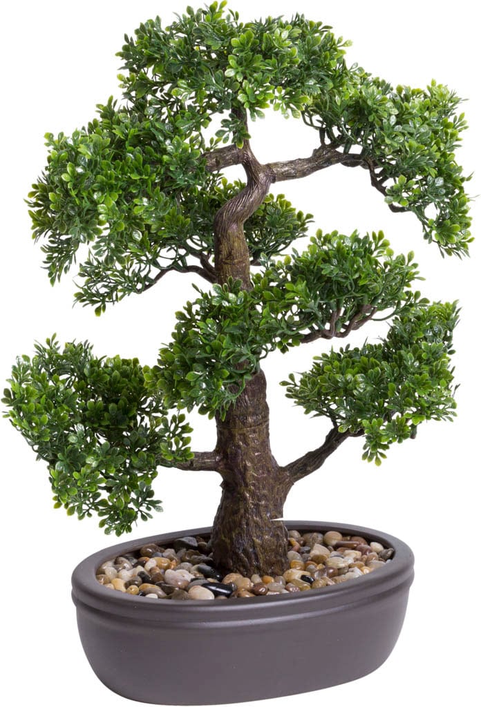 Kunstbonsai »Ficus Bonsai«