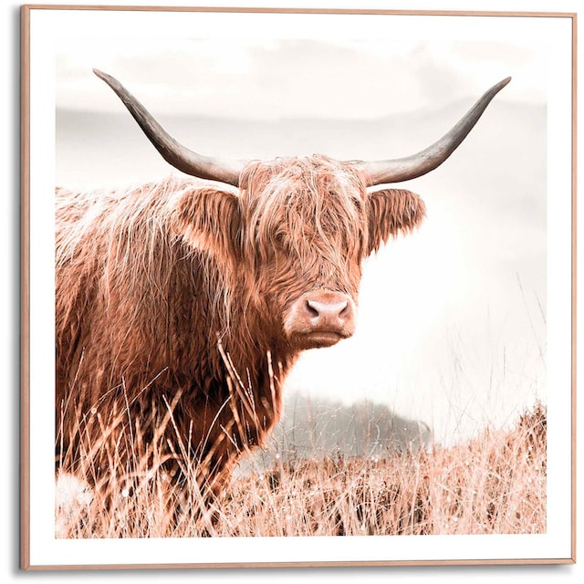 Reinders! Poster »Highlander« kaufen online bei OTTO
